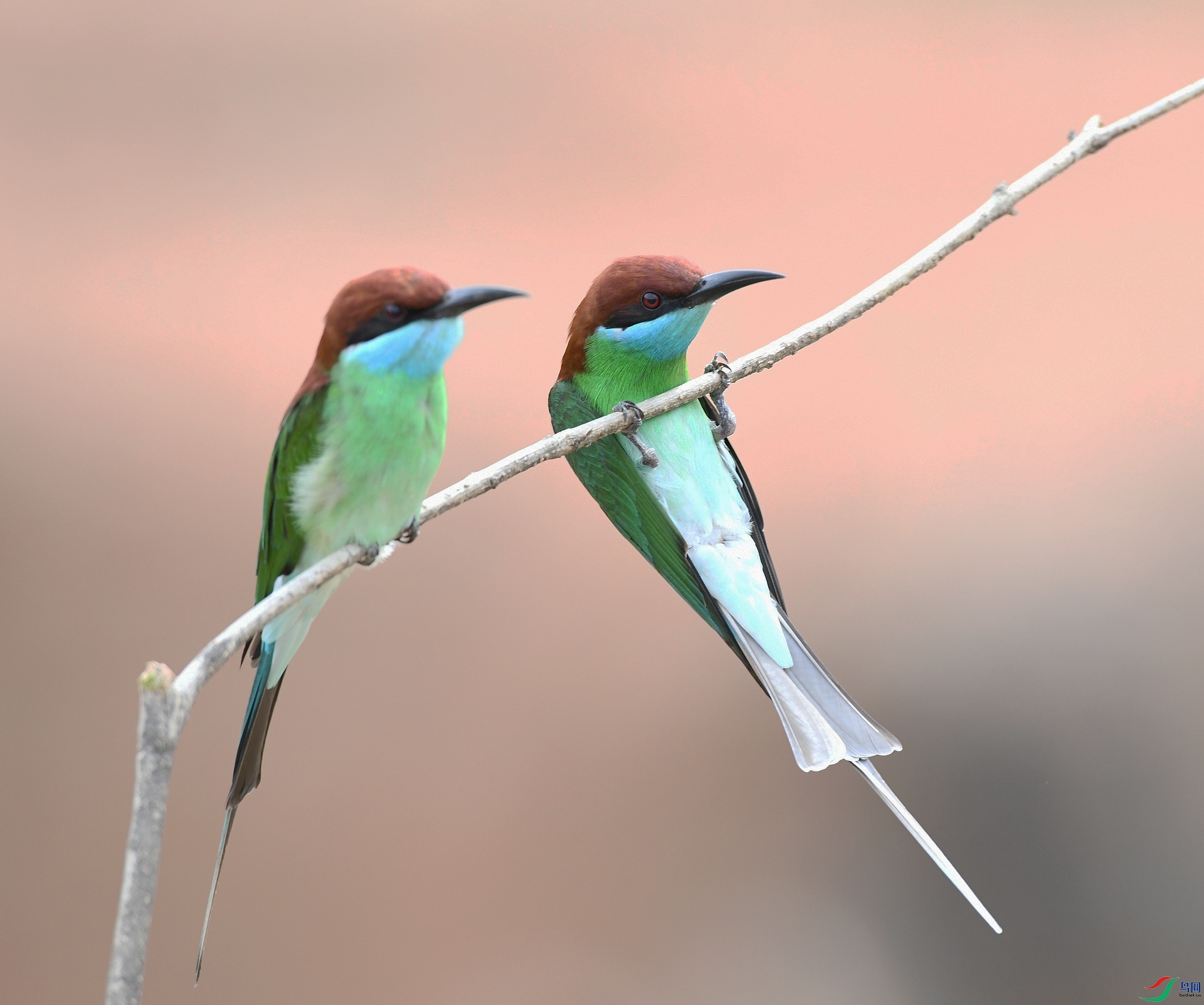 DSC_0651.jpg