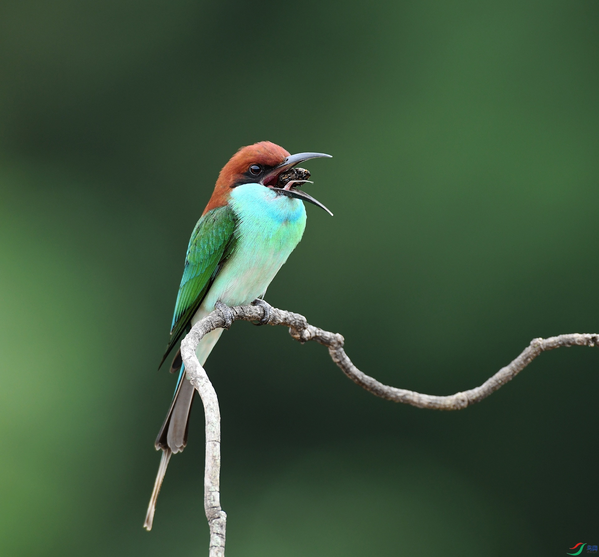 DSC_0777.jpg
