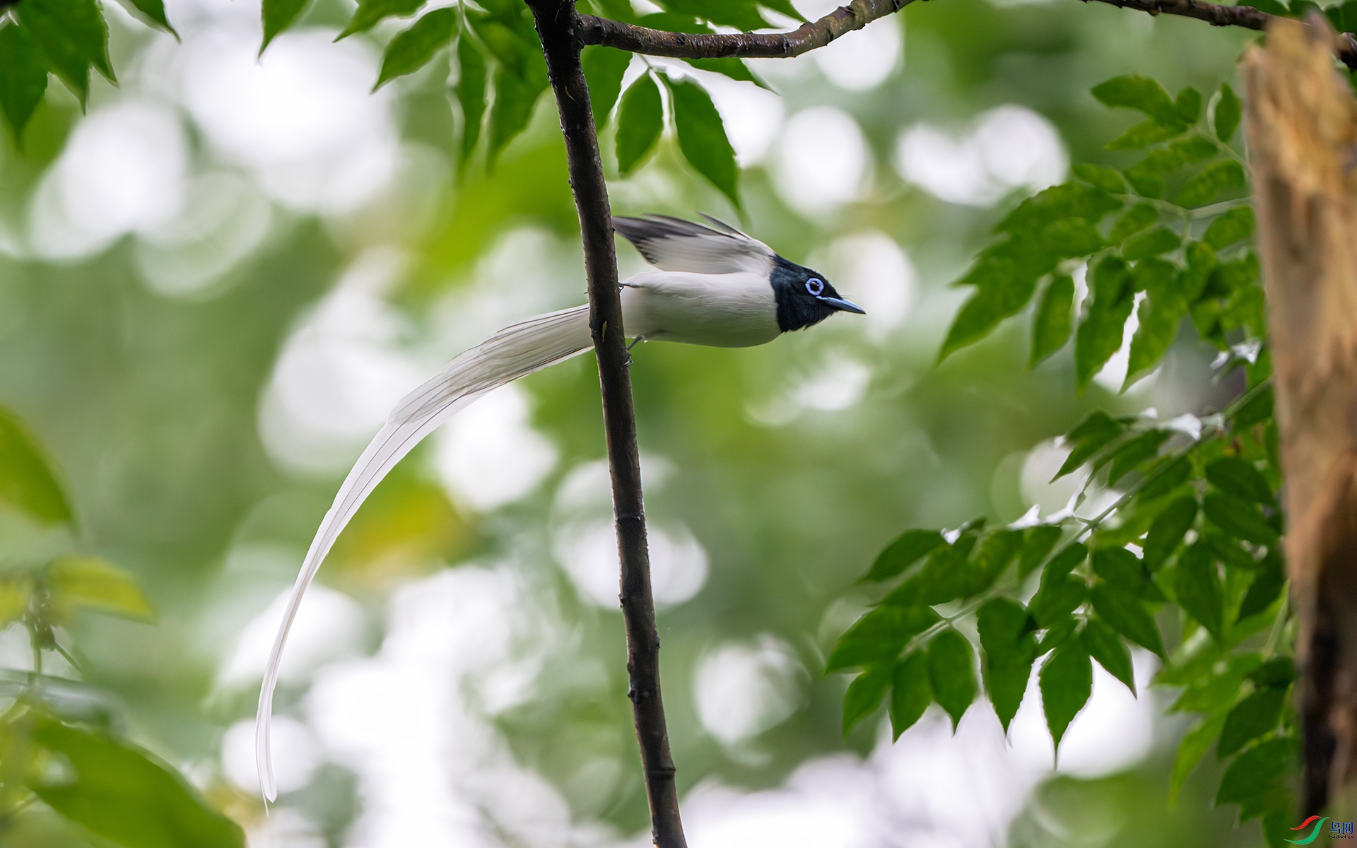 DSC_4703-����ǿ-NR ����.jpg