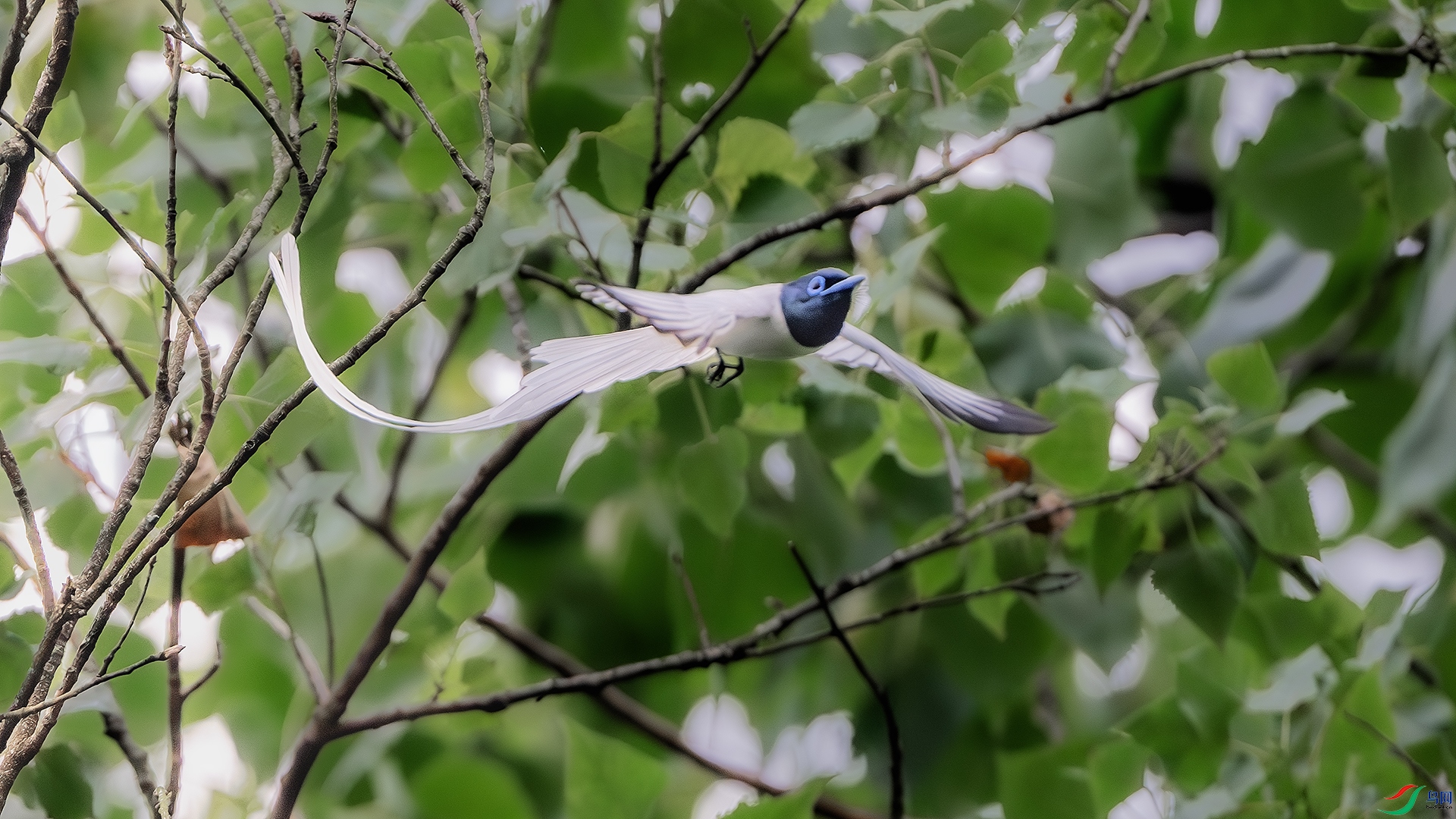 DSC_4401-����ǿ-NR ����.jpg