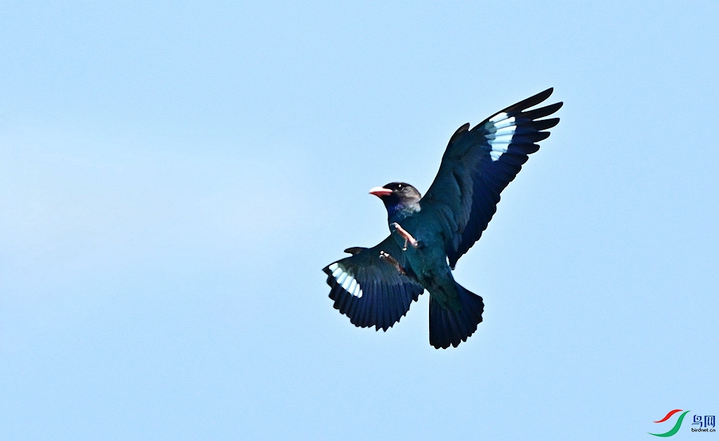DSC_0201.JPG