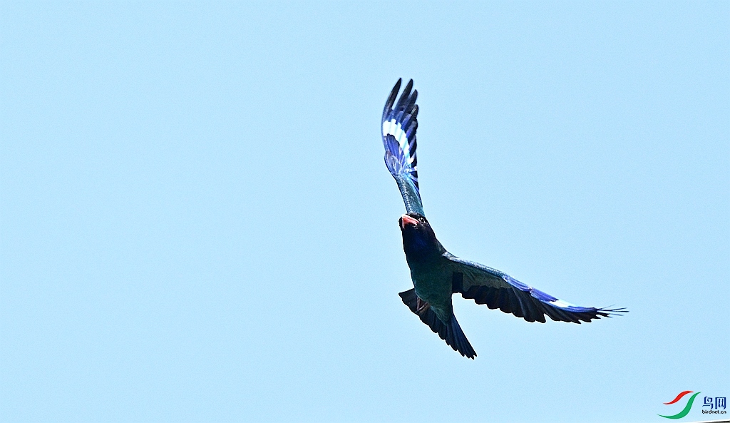 DSC_1209.JPG