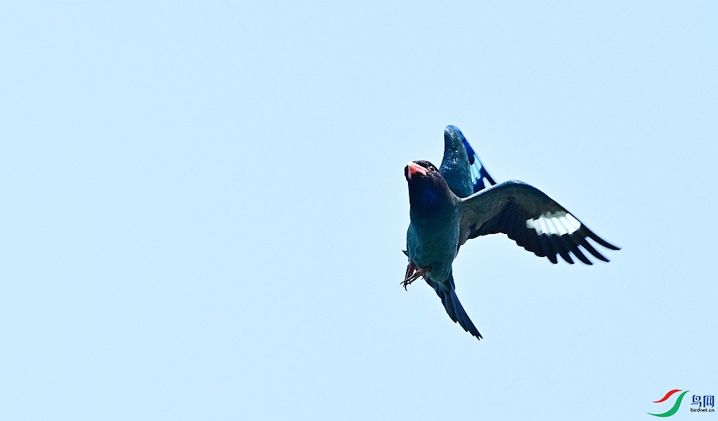 DSC_1212.JPG