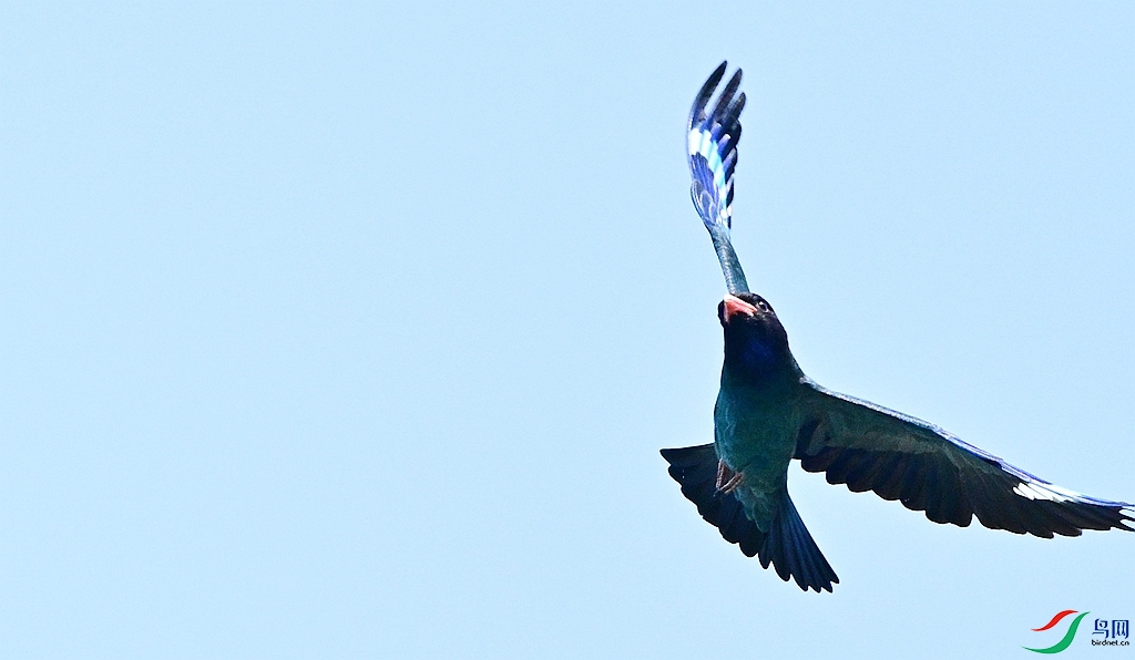 DSC_1213.JPG