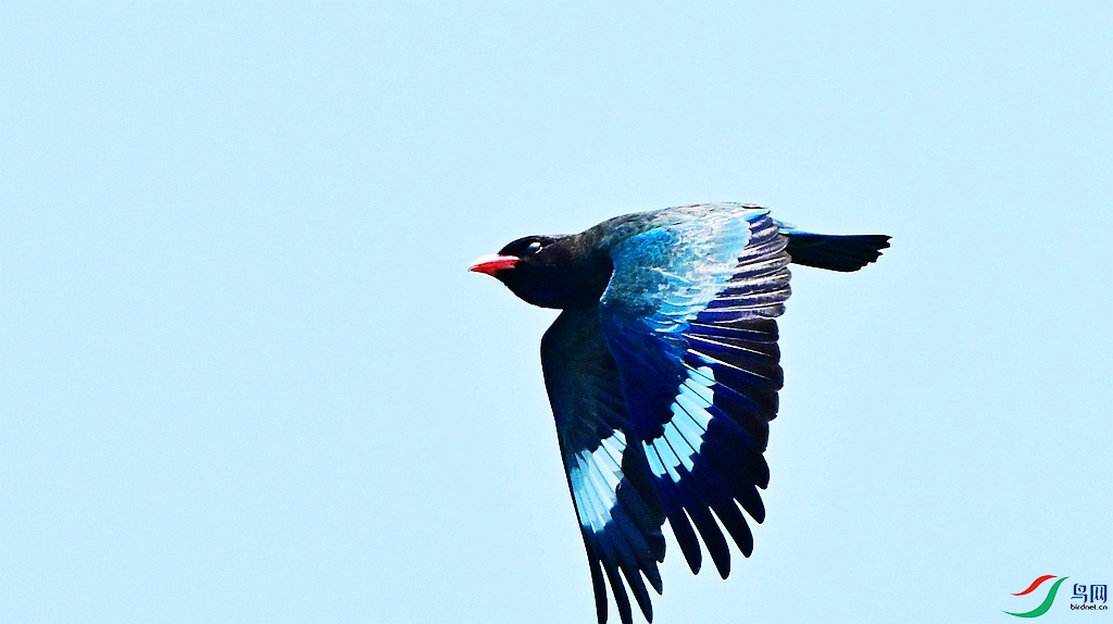 DSC_9999.JPG