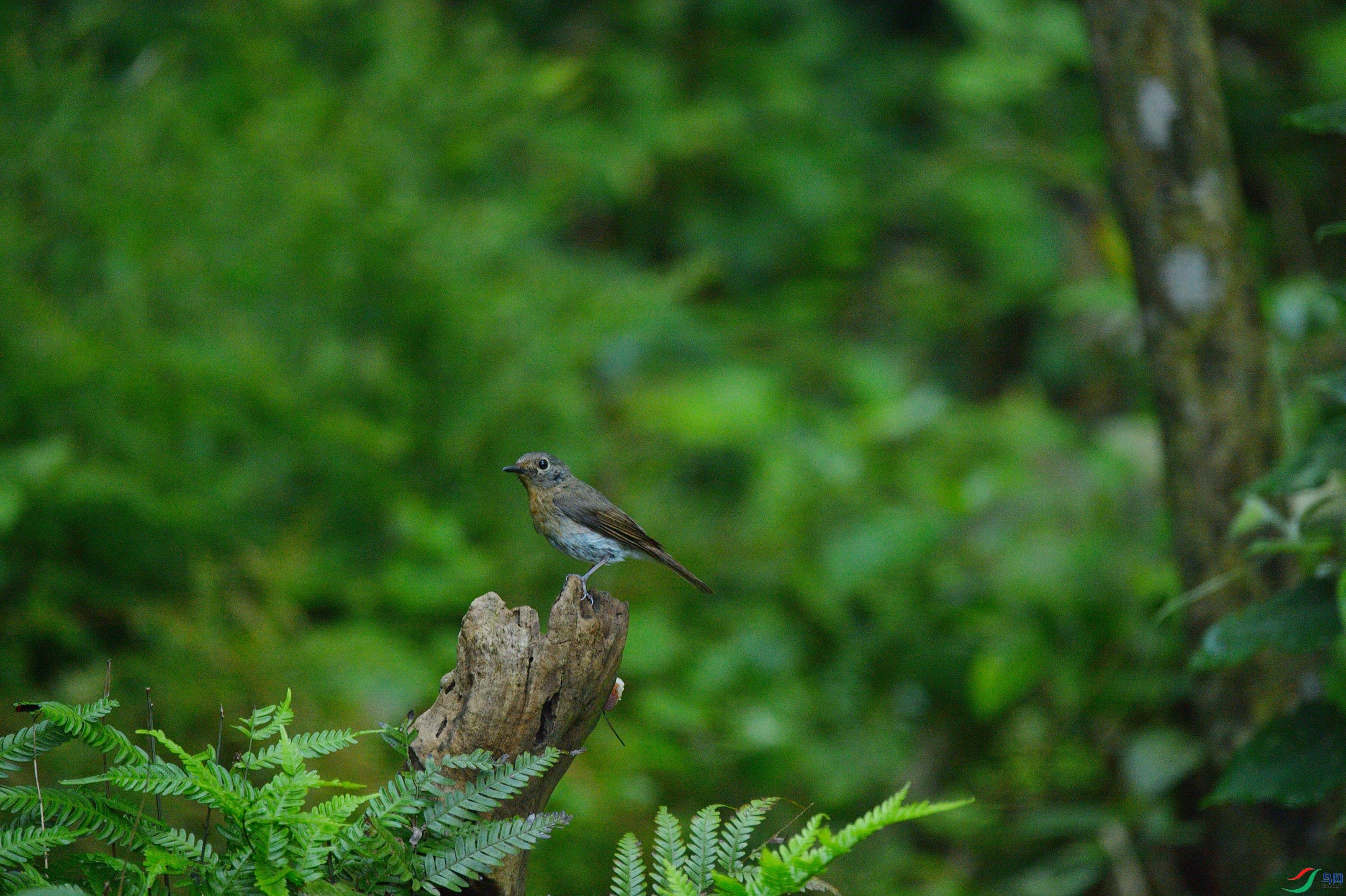 DSC_5309_����.jpg