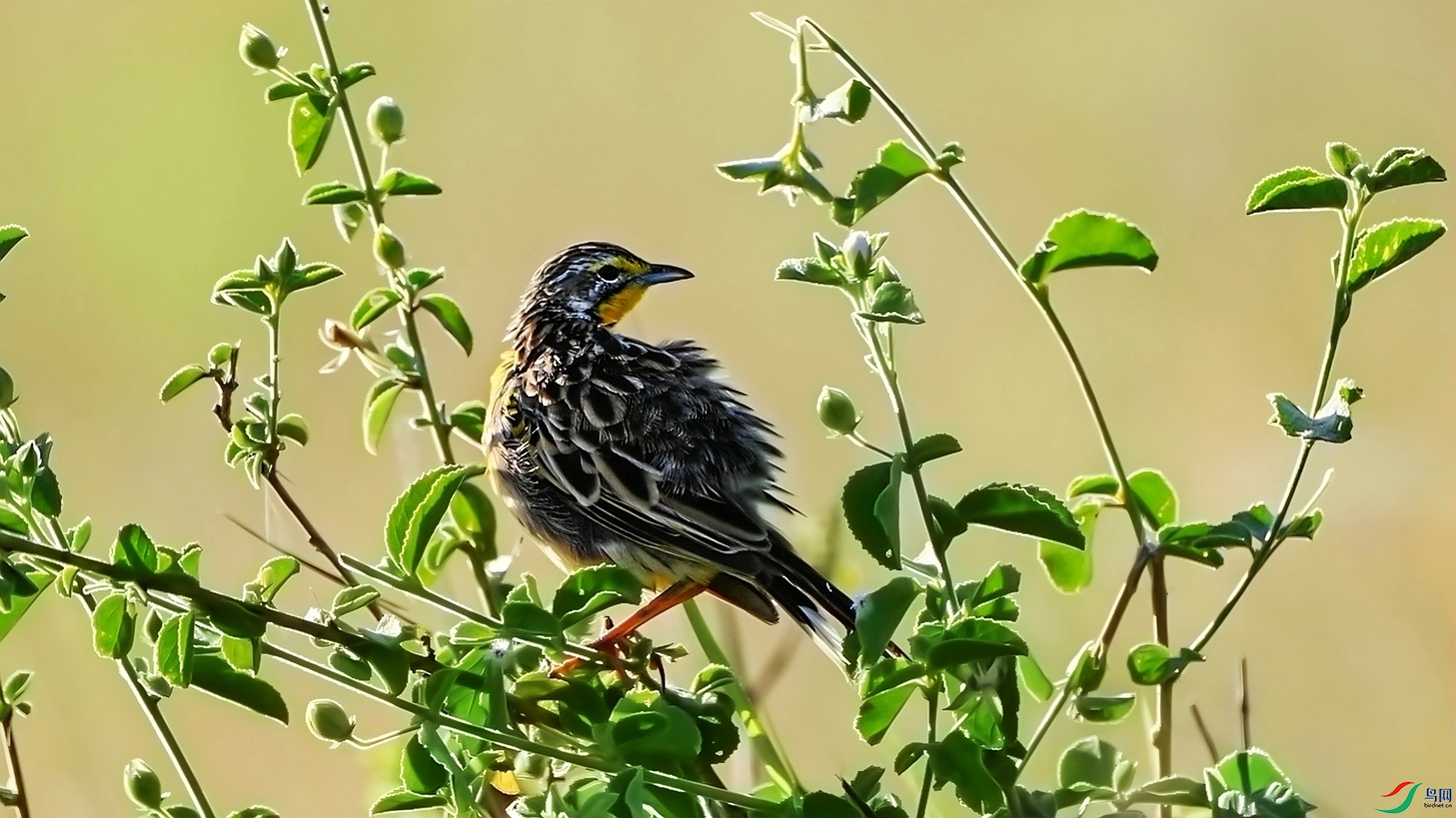 DSC_3834_����.jpg�ƺ���צ�n�__����_����.jpg