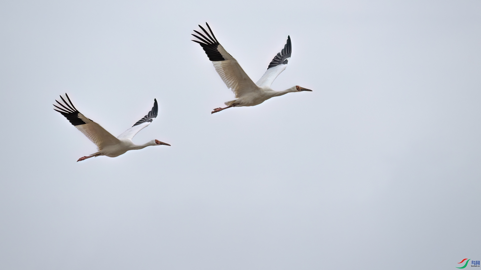 DSC_3450sen2026-2-27-222-�༭.jpg