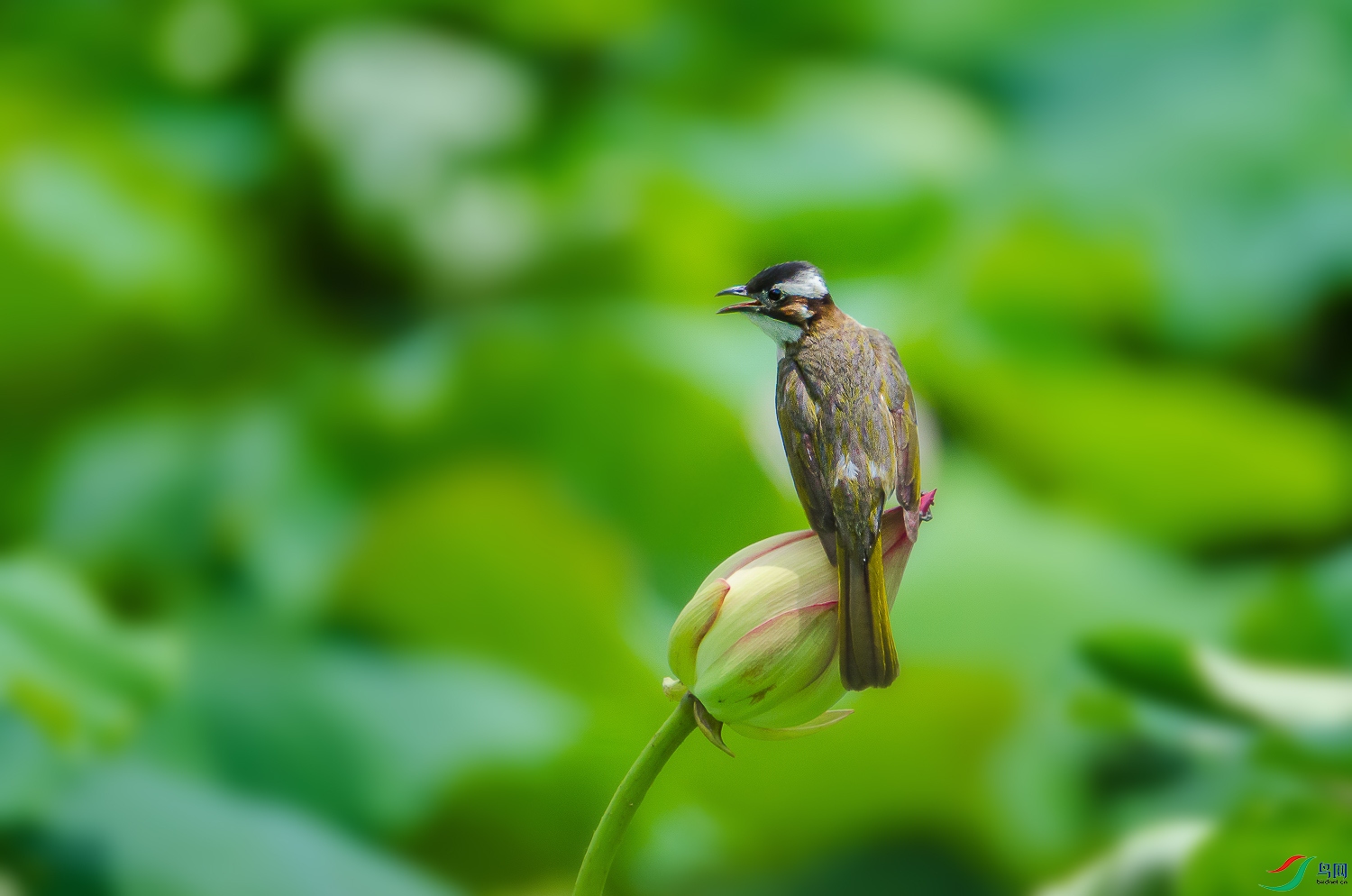 DSC_7900.jpg
