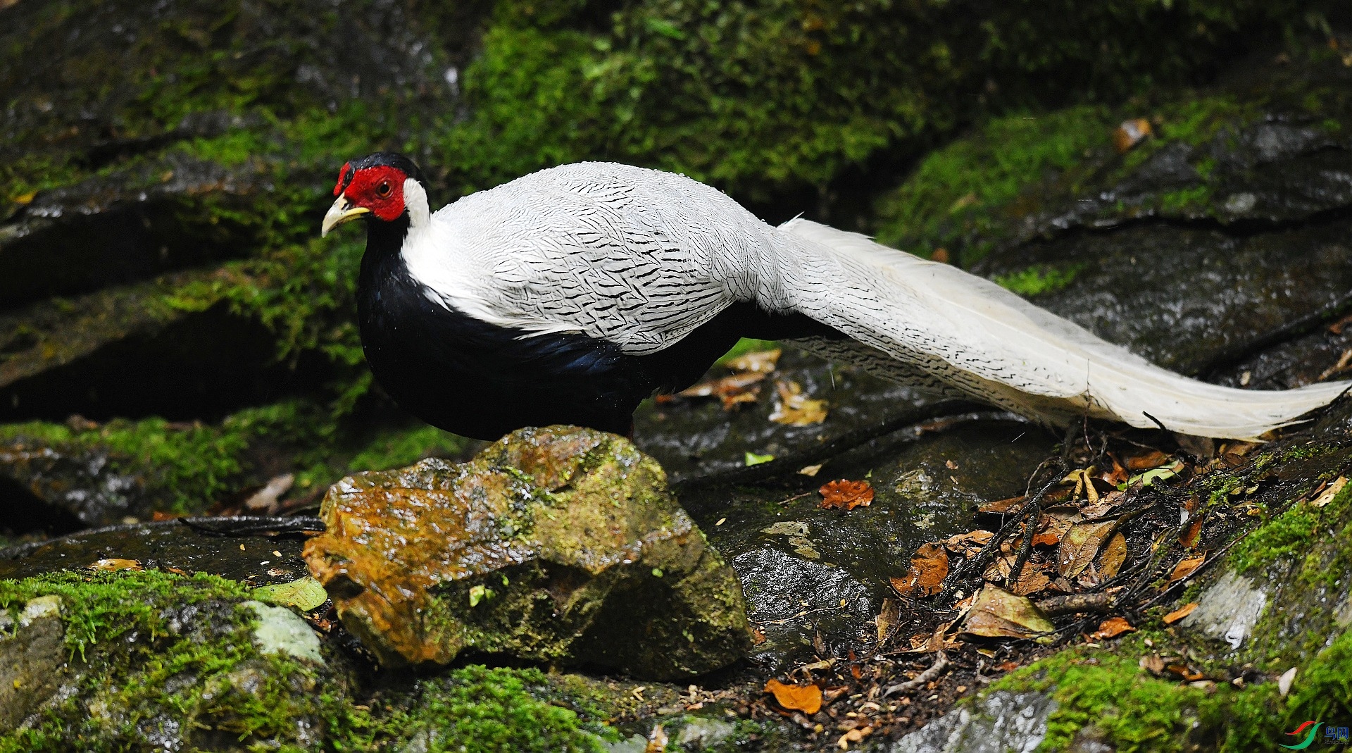 DSC_8206.jpg