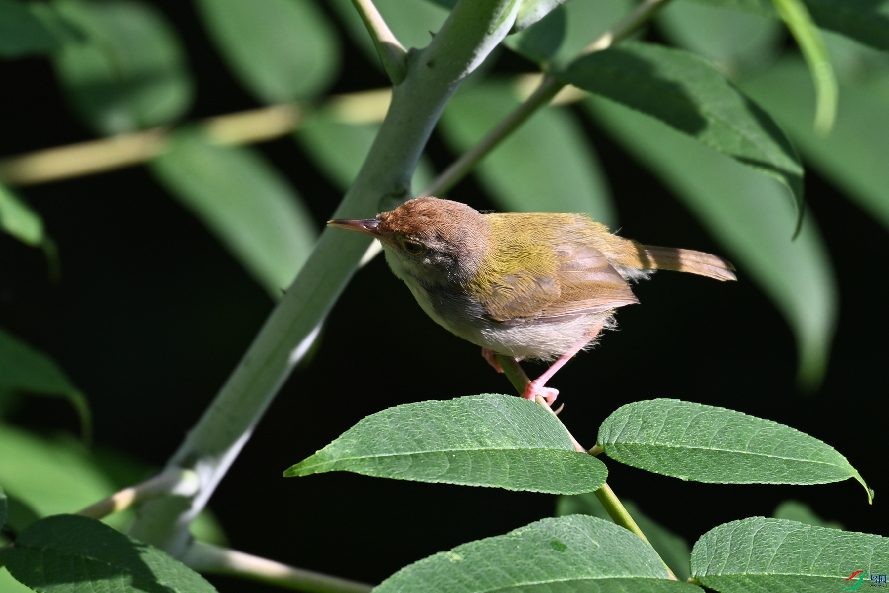 DSC_3859.JPG