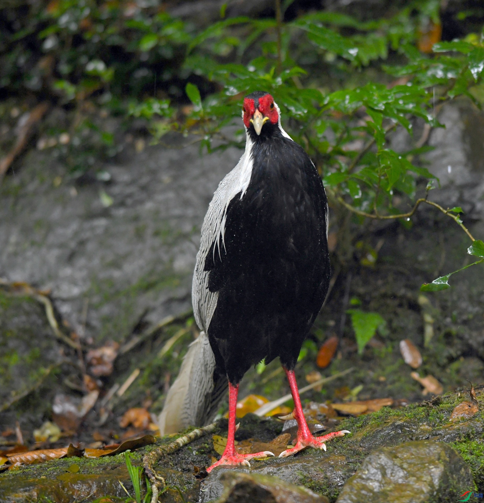 DSC_8211.jpg