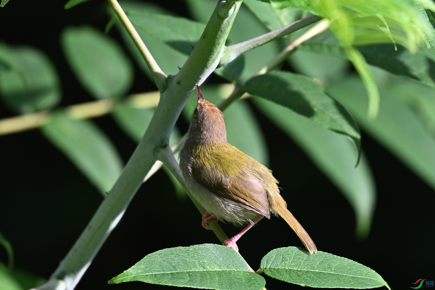 DSC_3861.JPG