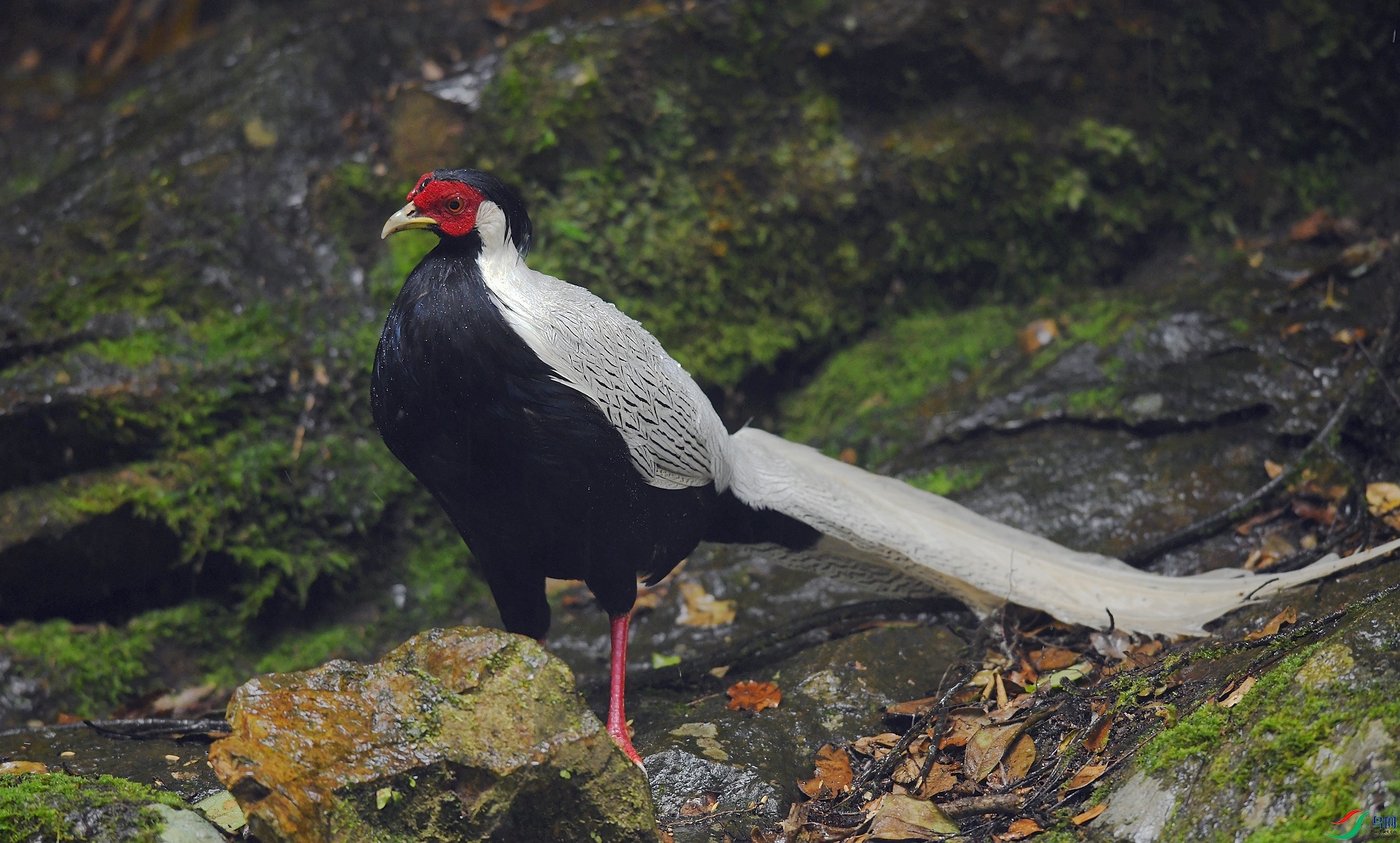 DSC_8220.jpg