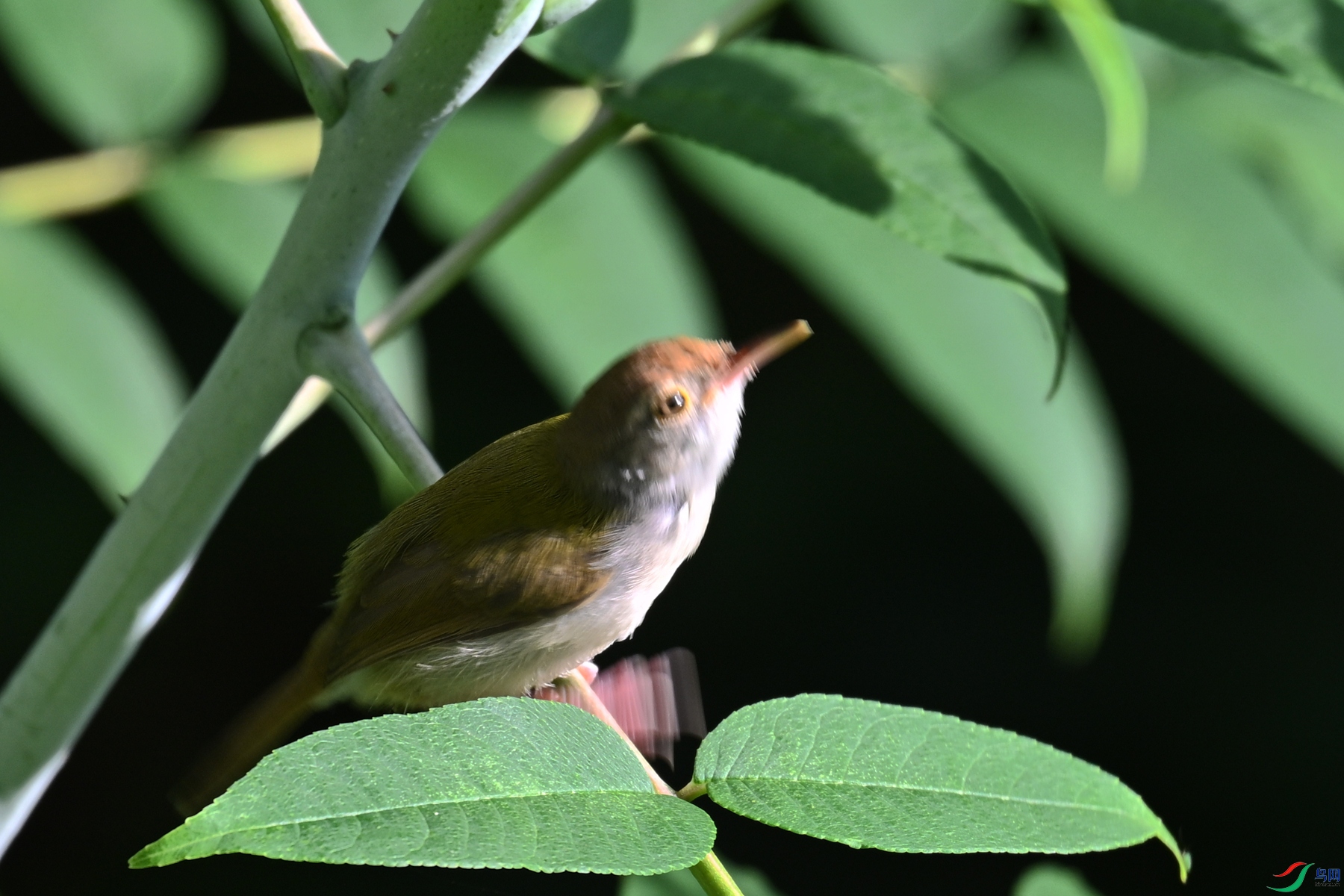 DSC_3866.JPG