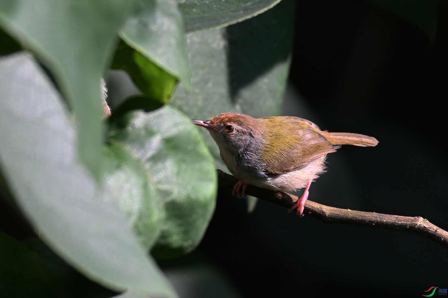 DSC_3854.JPG