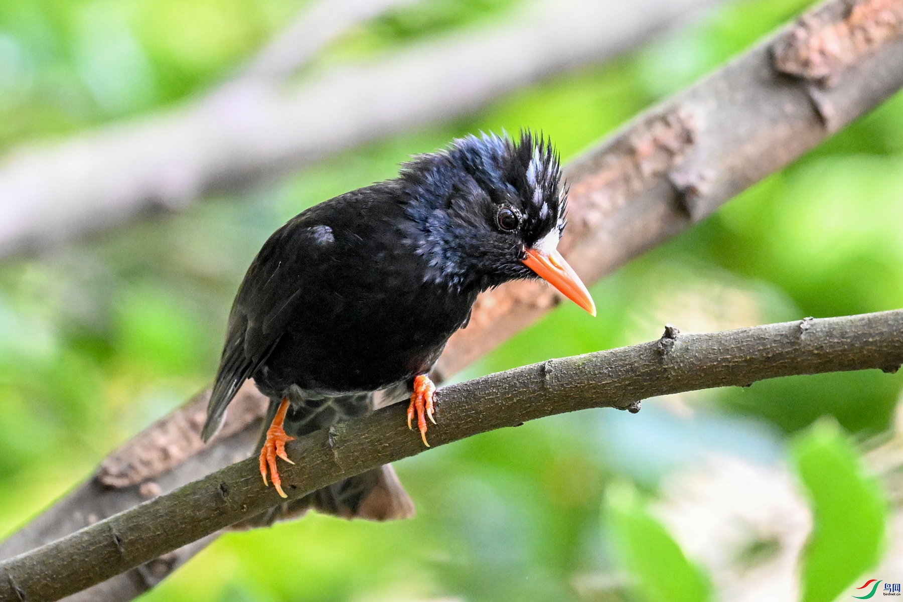 DSC_3849.JPG
