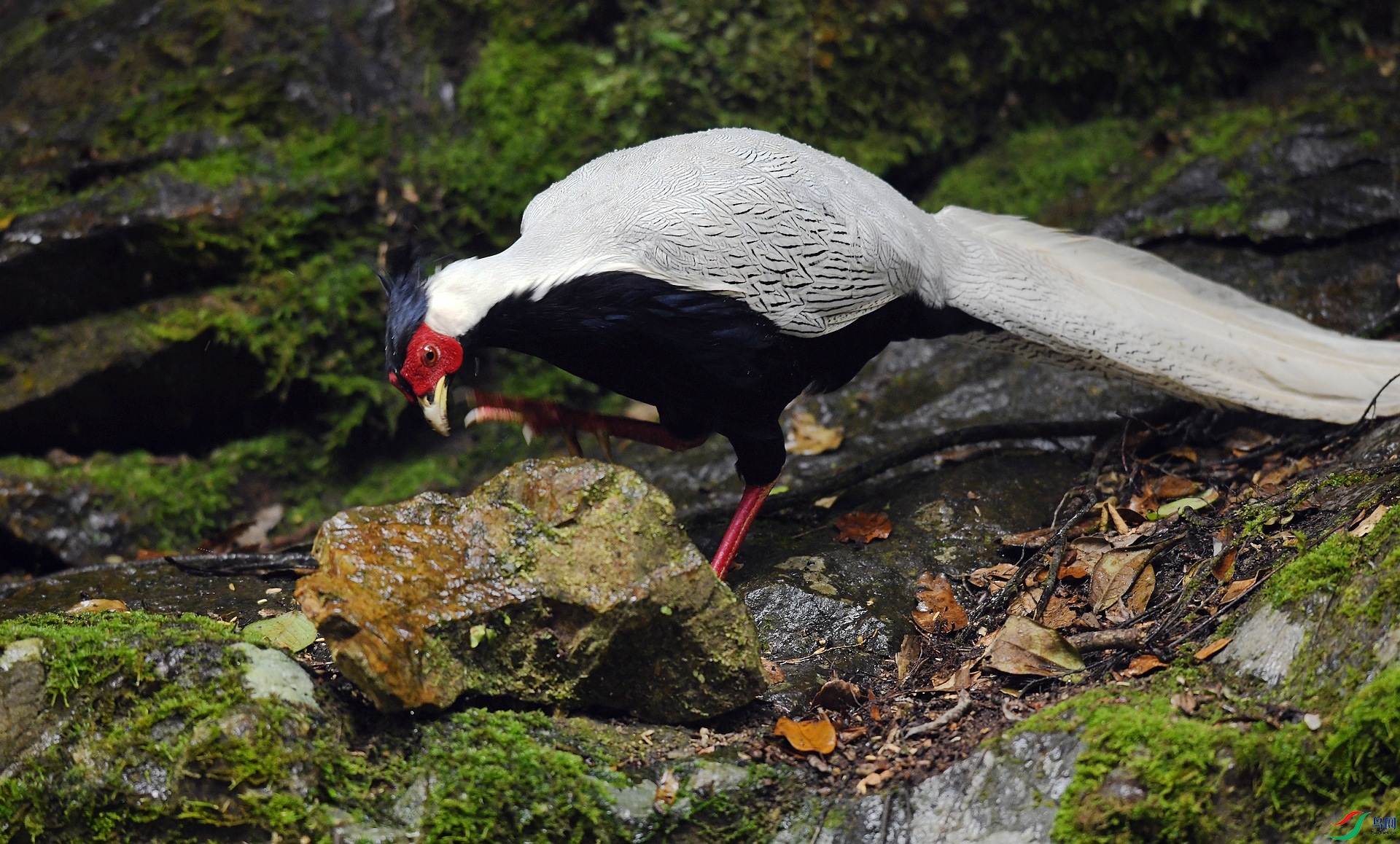 DSC_8192.jpg