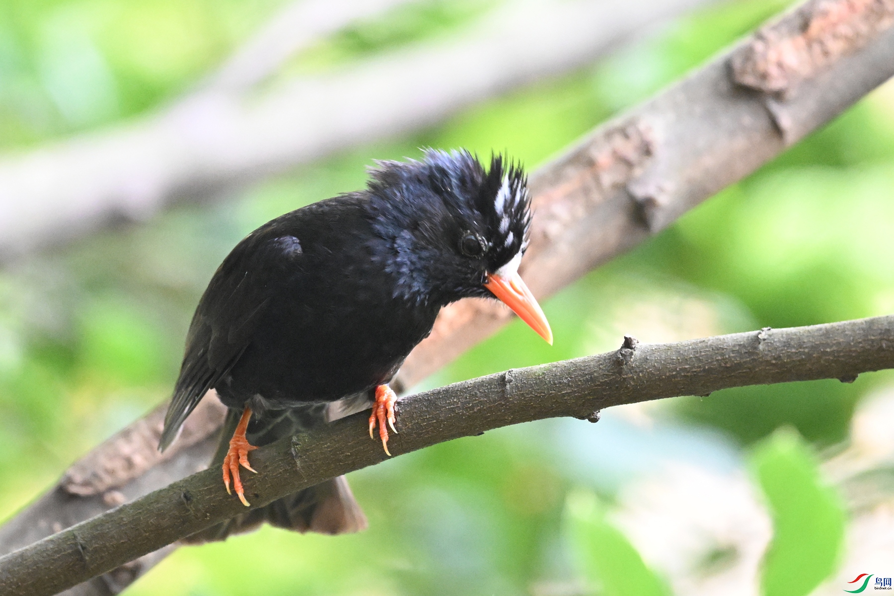 DSC_3850.JPG
