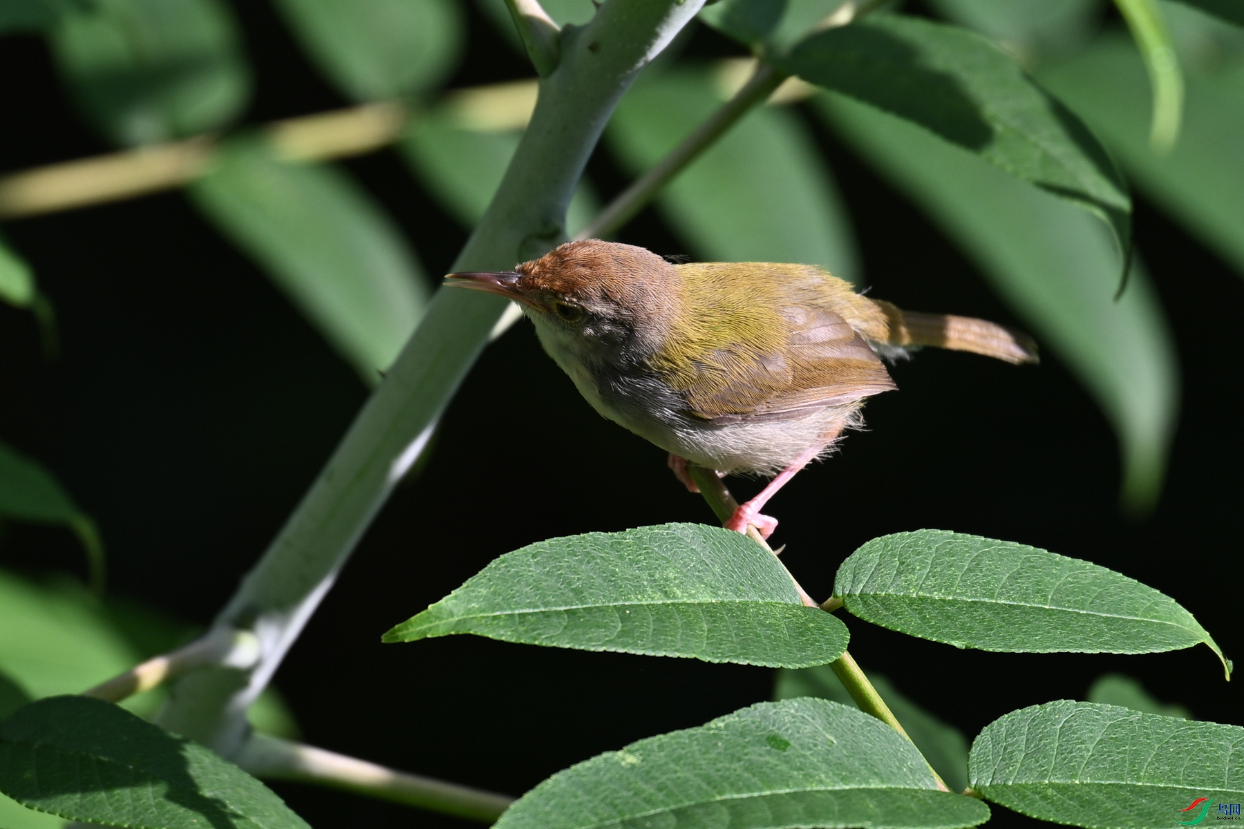 DSC_3858.JPG