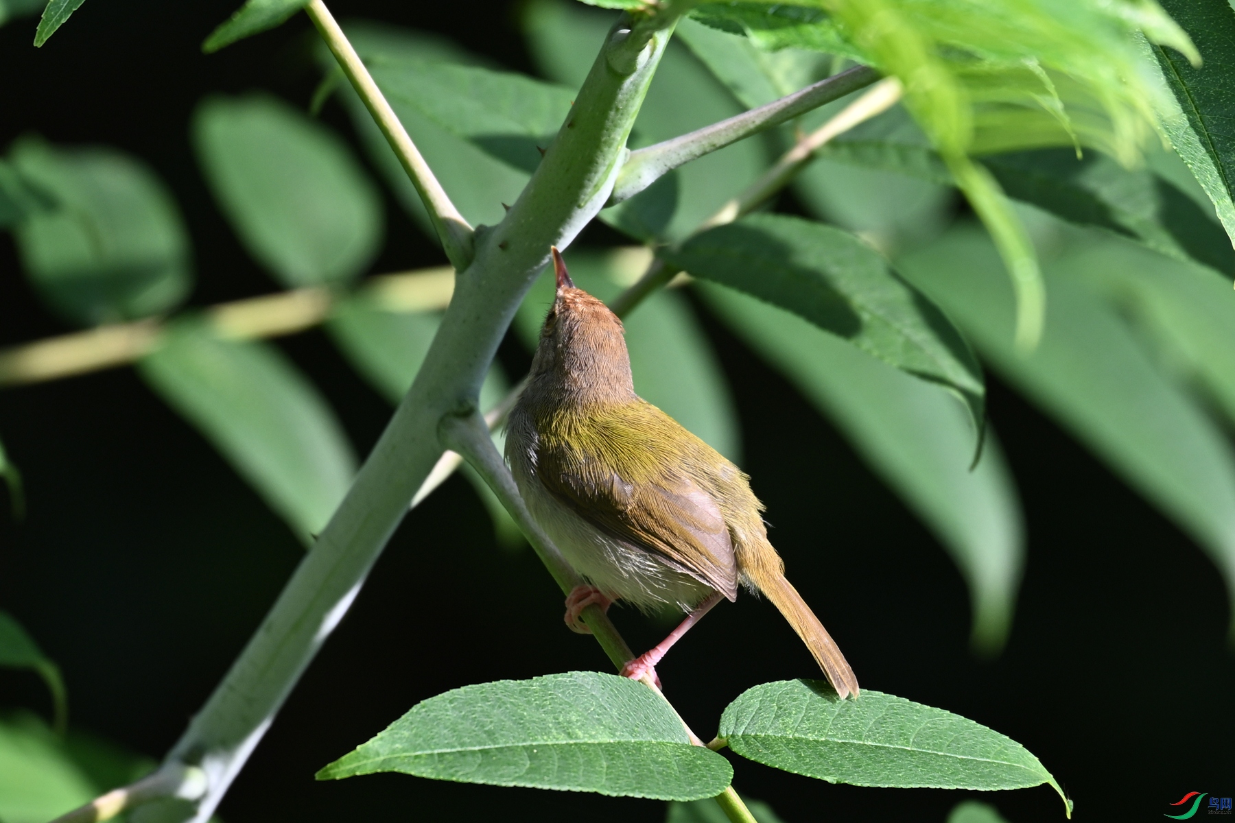 DSC_3860.JPG
