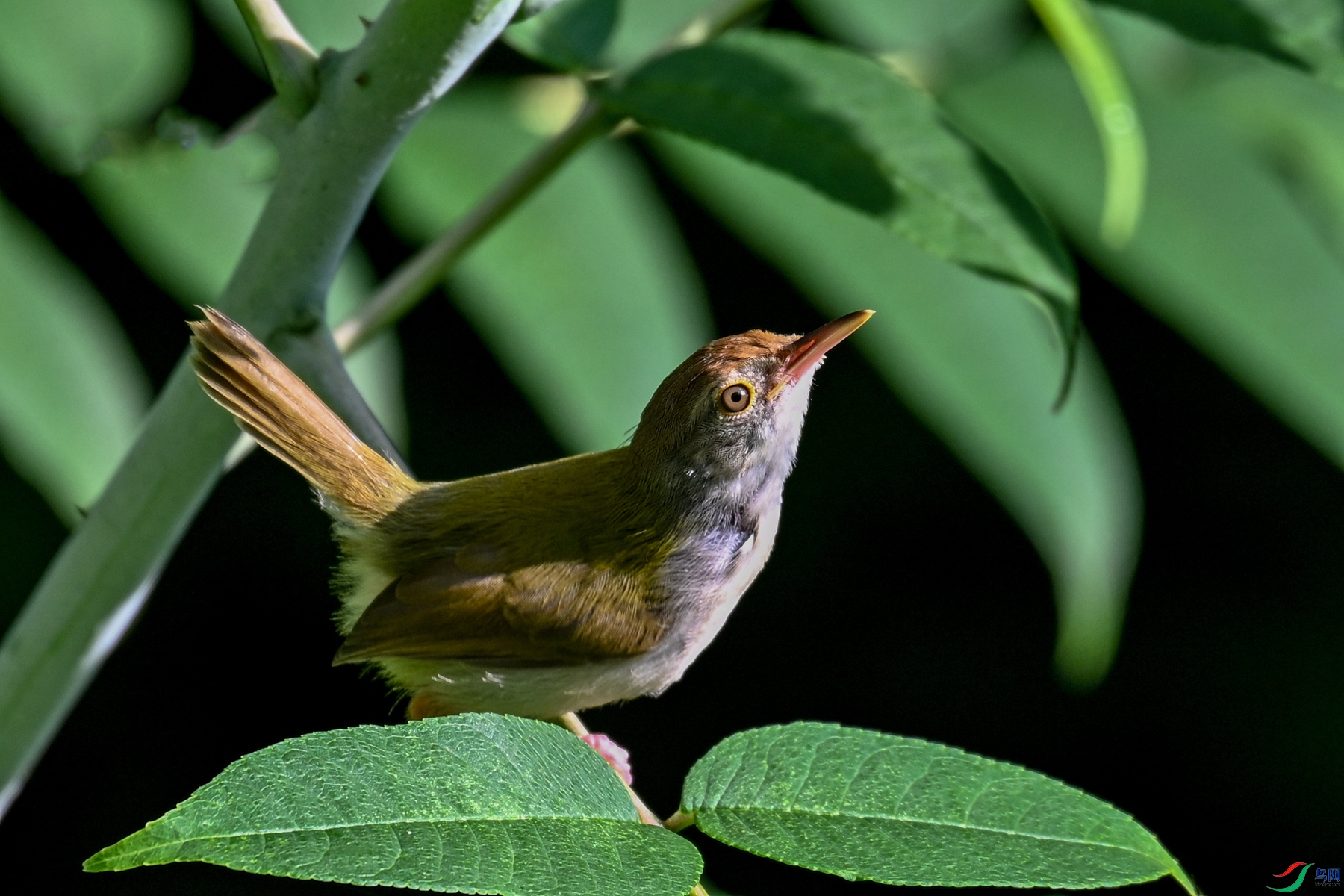 DSC_3869.JPG