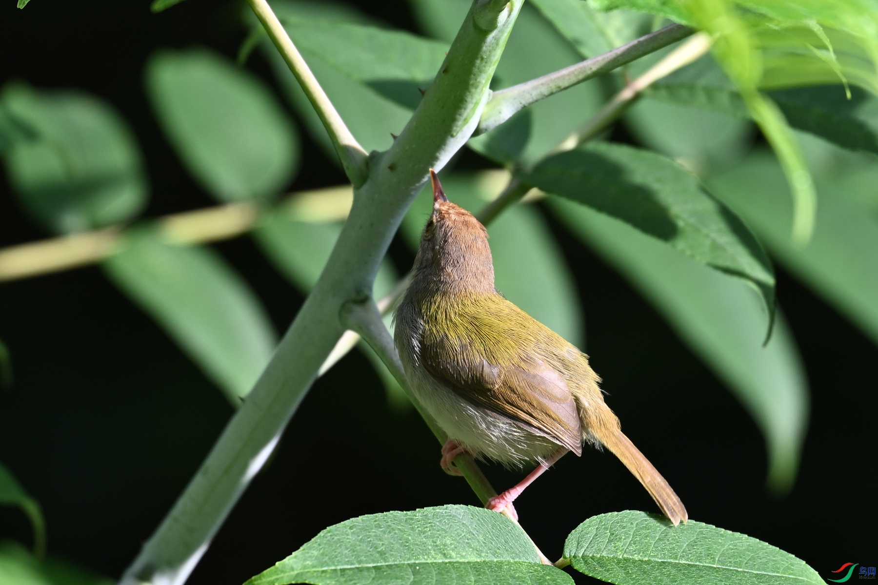 DSC_3862.JPG