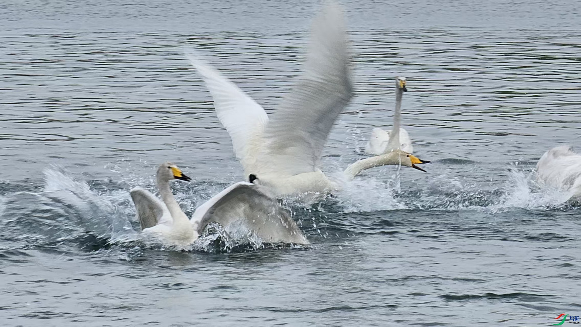 image_1749388757024.jpg