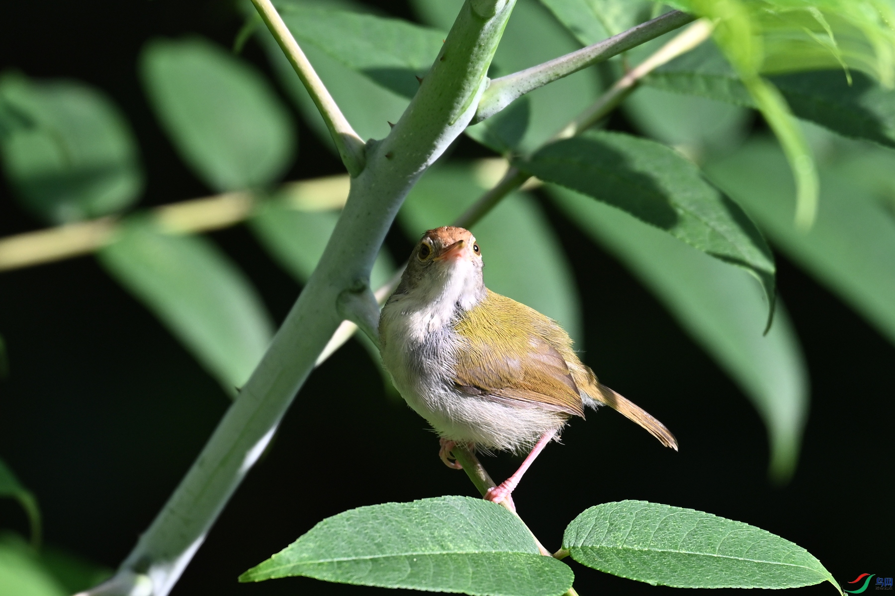 DSC_3865.JPG