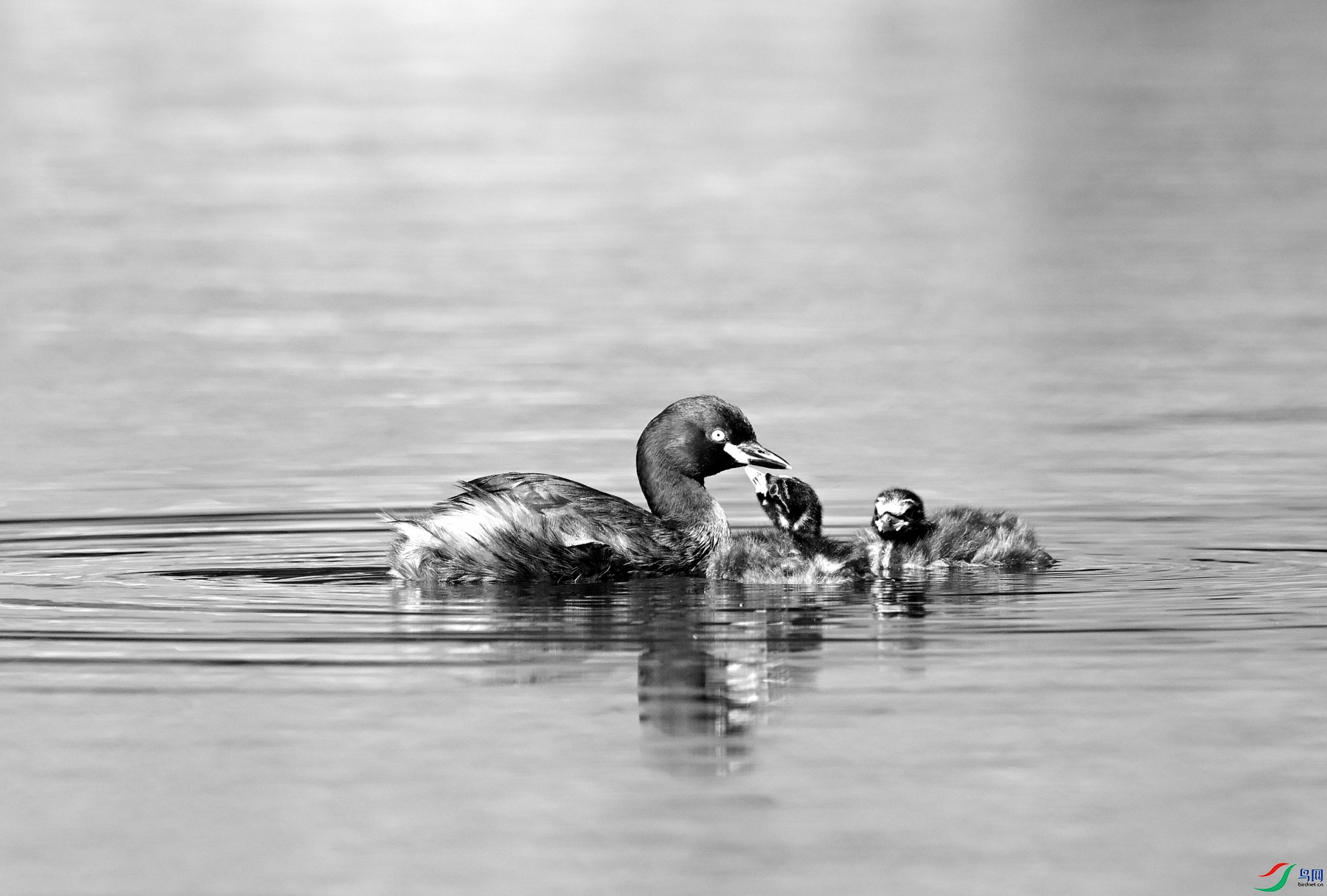 DSC_5165.JPG