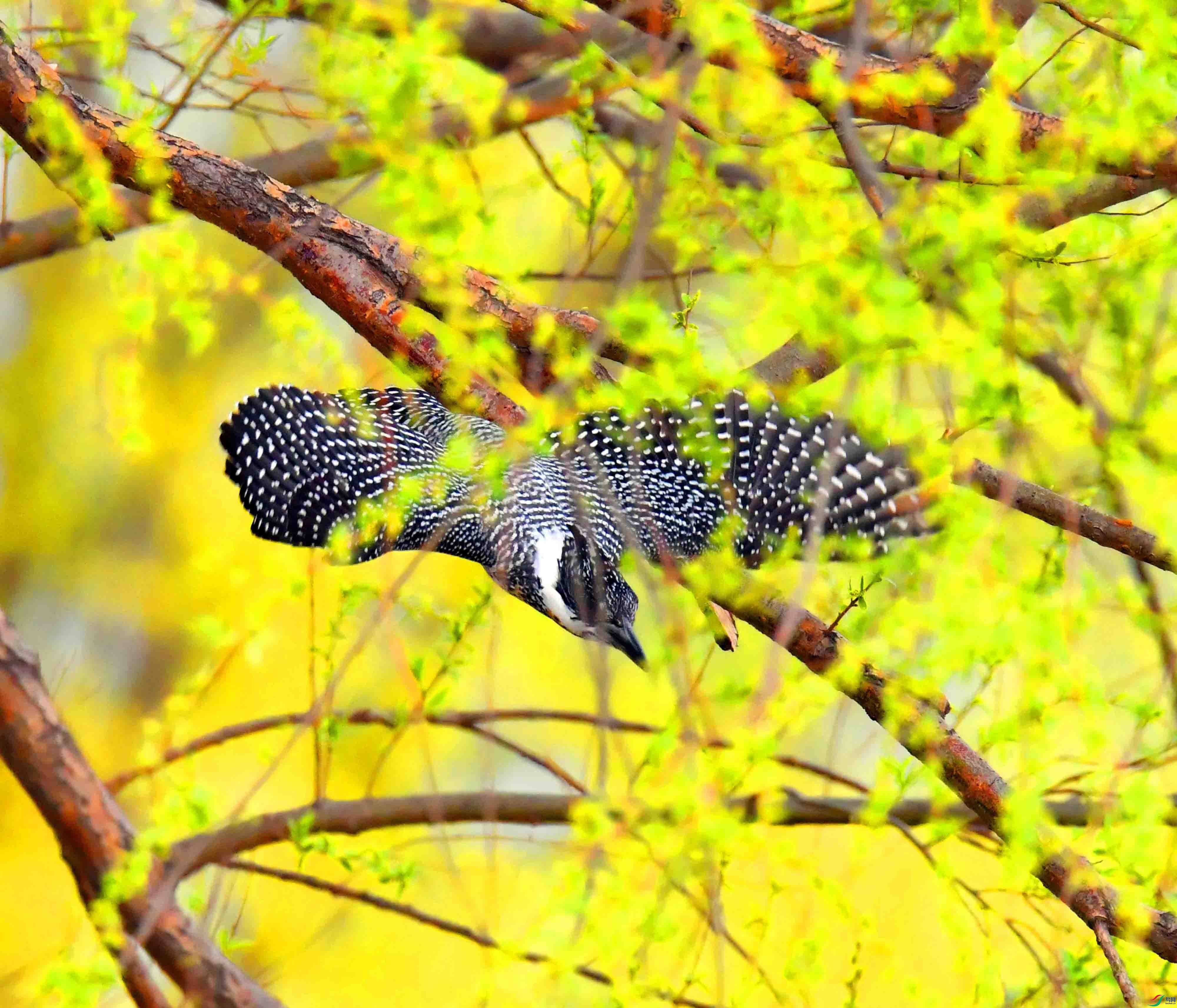 DSC_0412.JPG