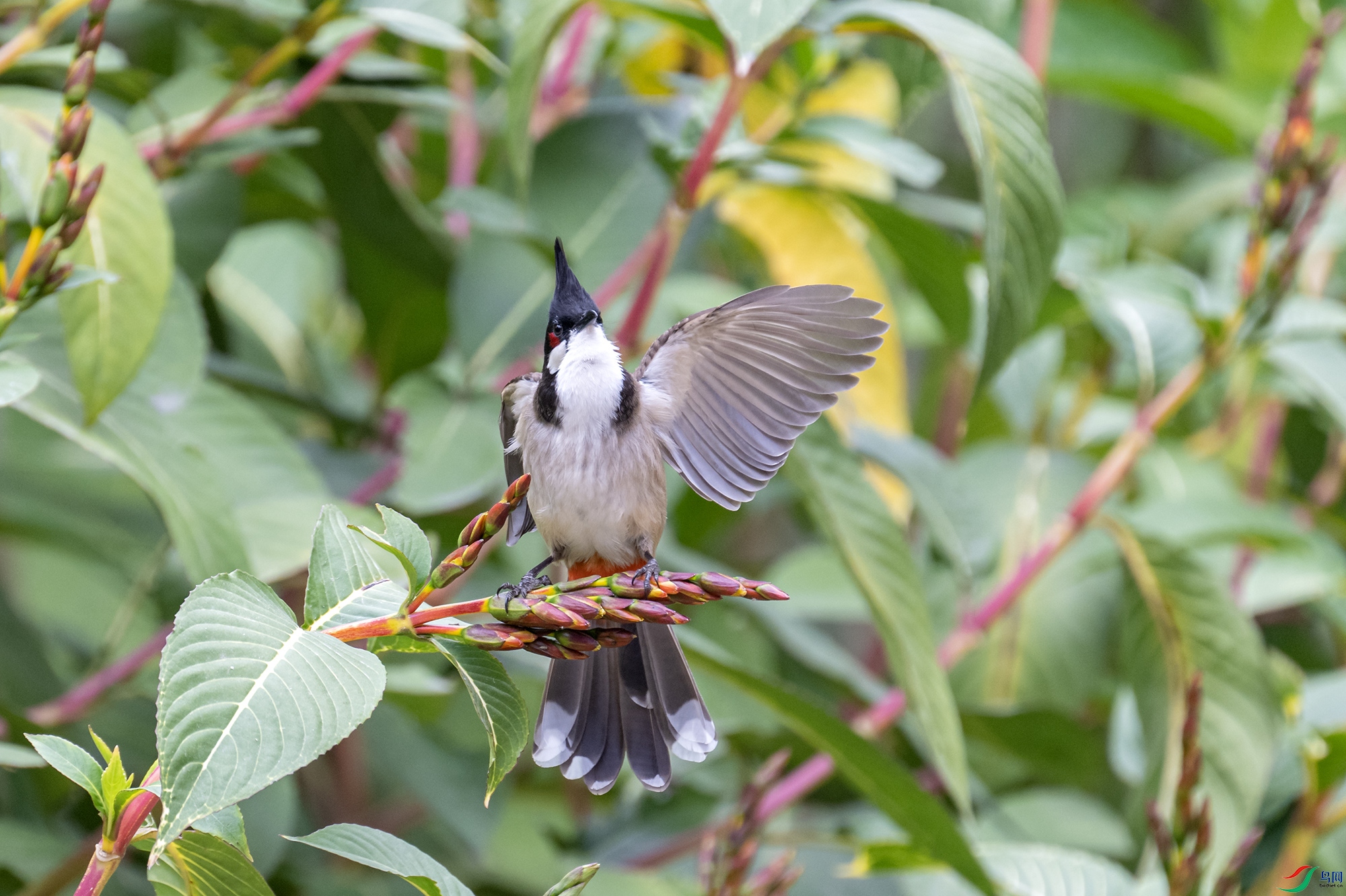 DSC_8489.jpg