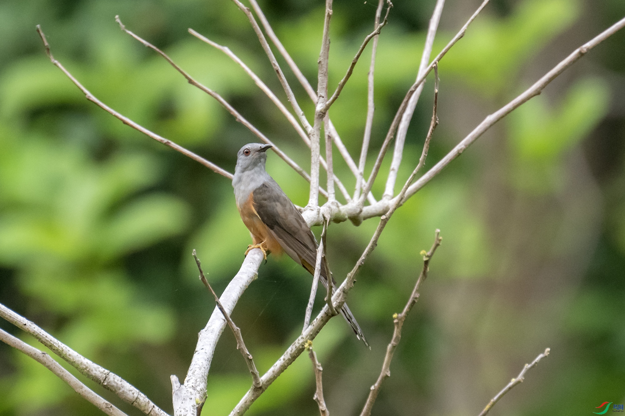 DSC_7782.jpg