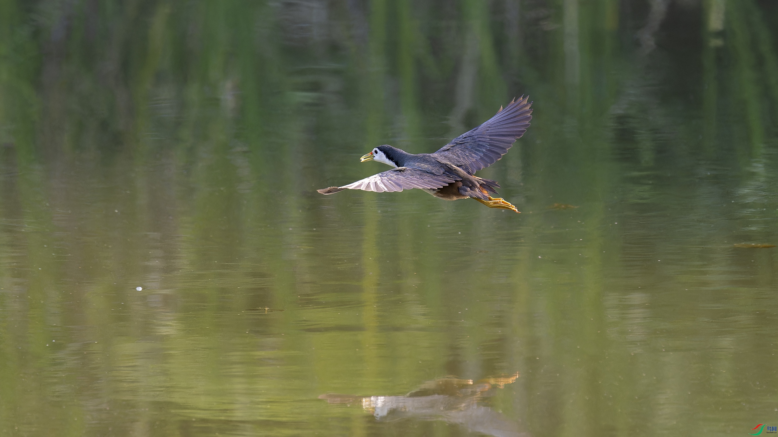 DSC_4095_DxO.jpg