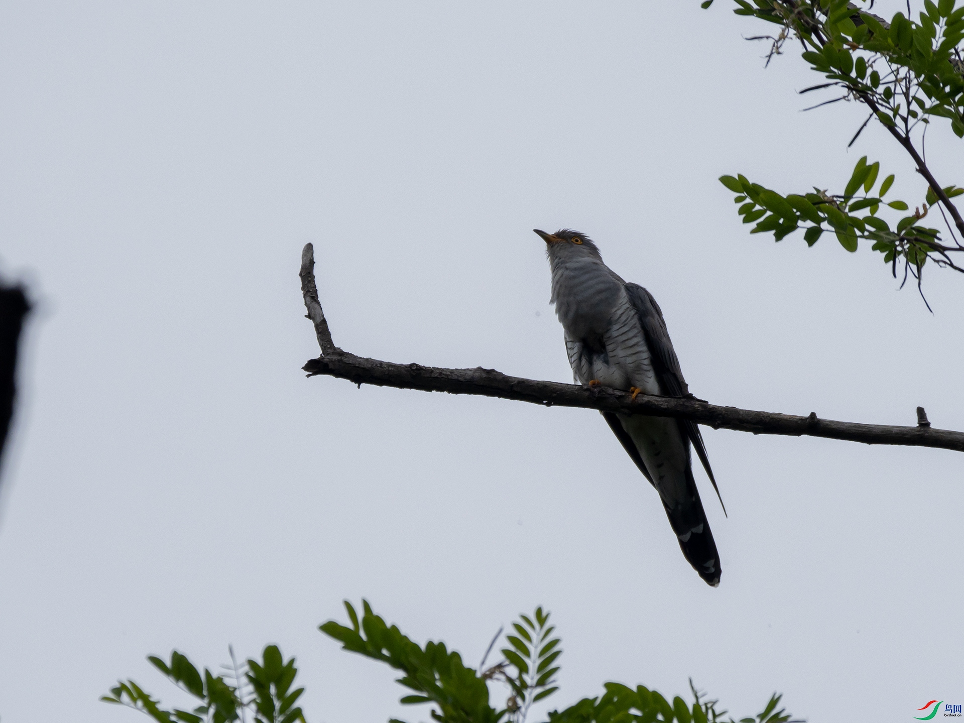 P5201580.jpg