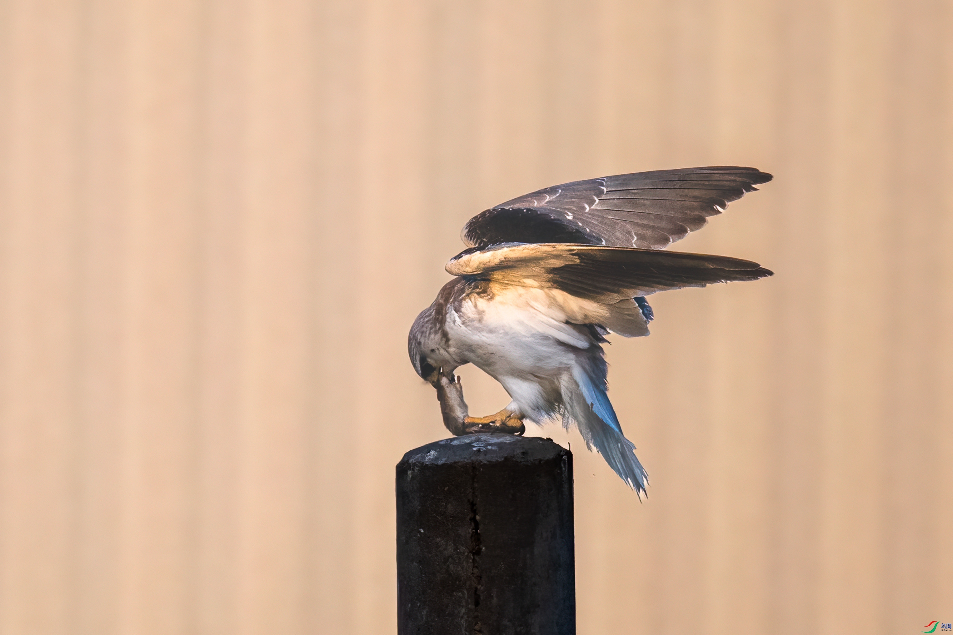 DSC_1033.jpg