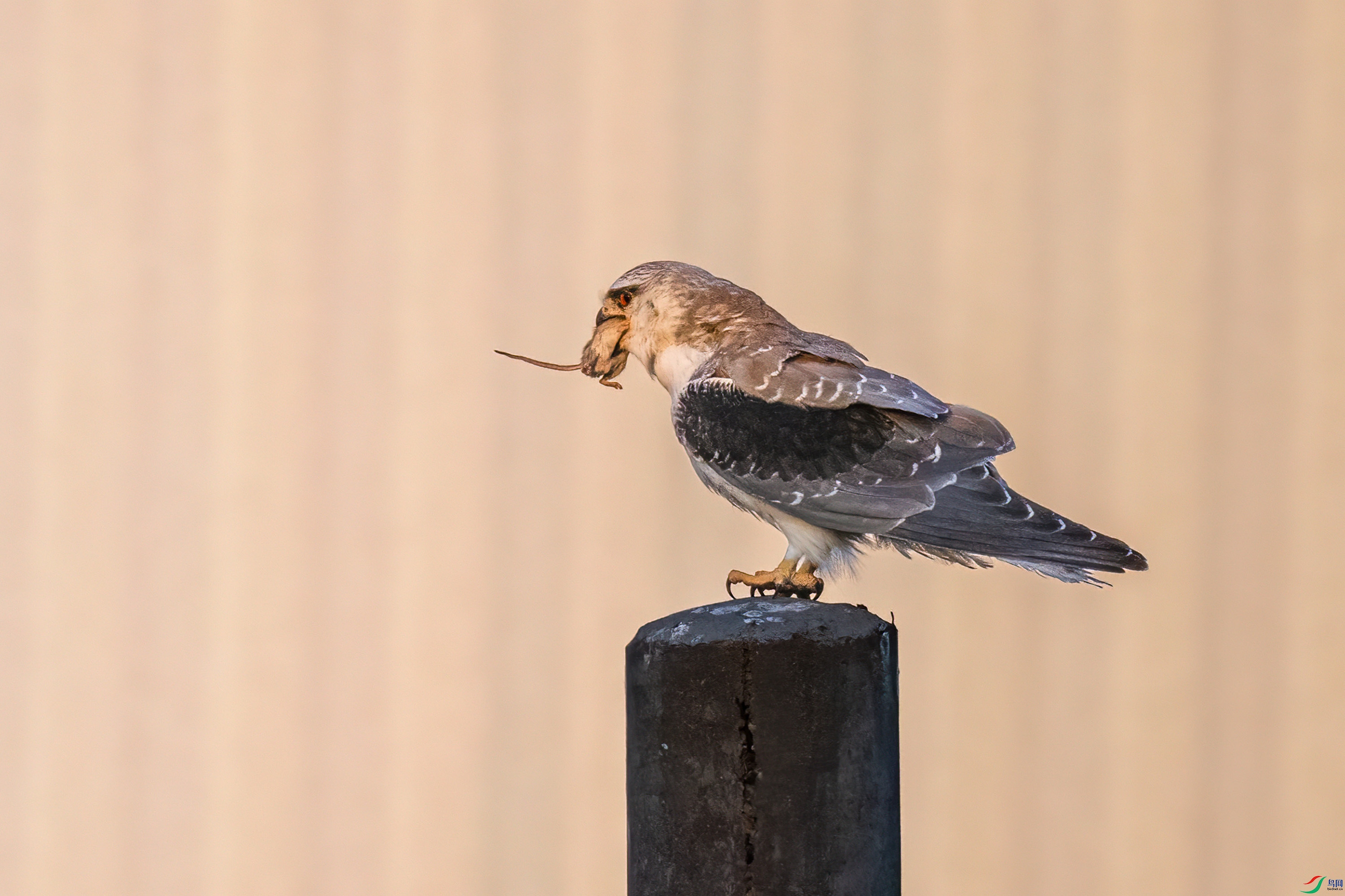 DSC_1074.jpg
