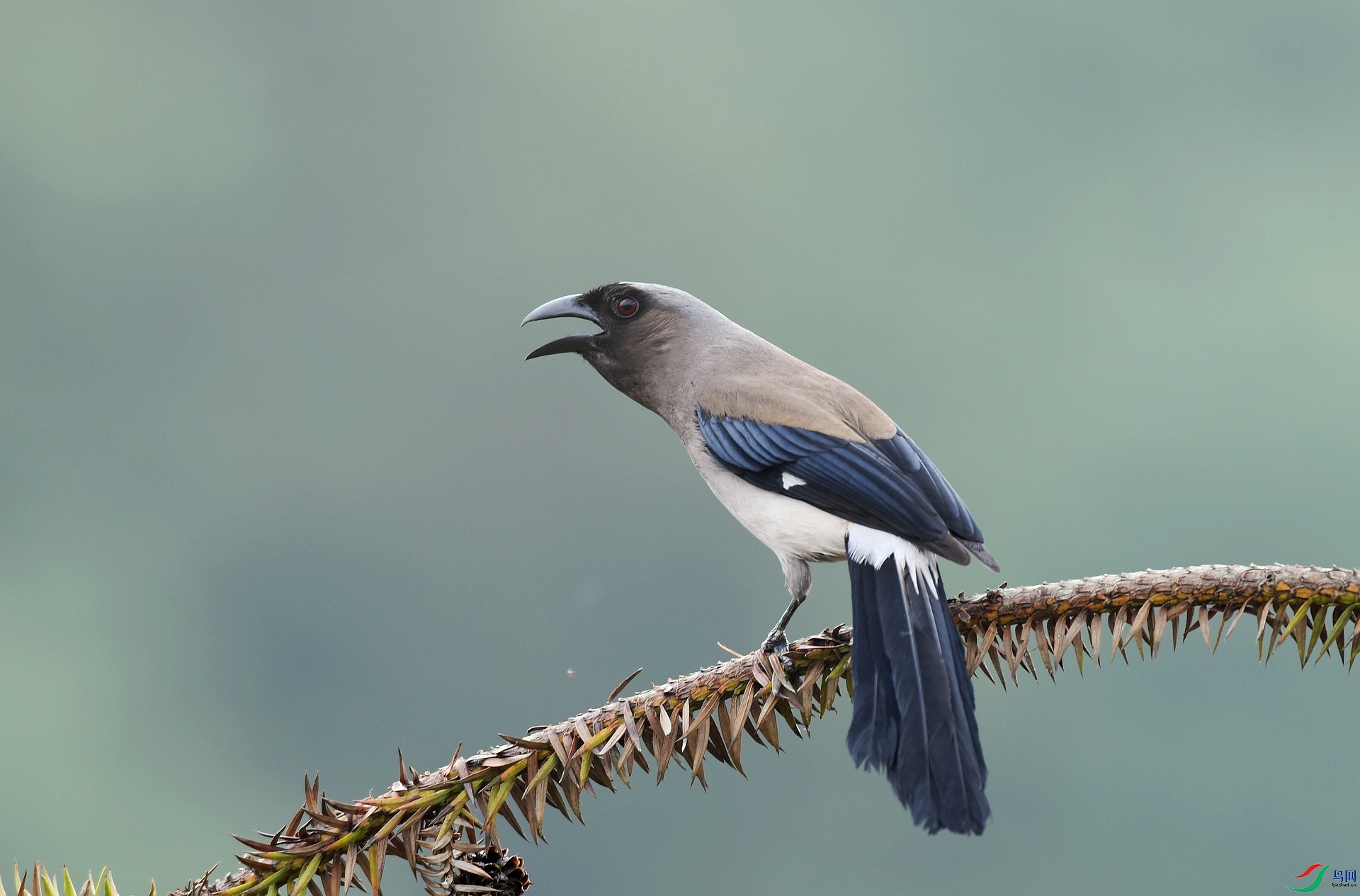 DSC_7911.jpg