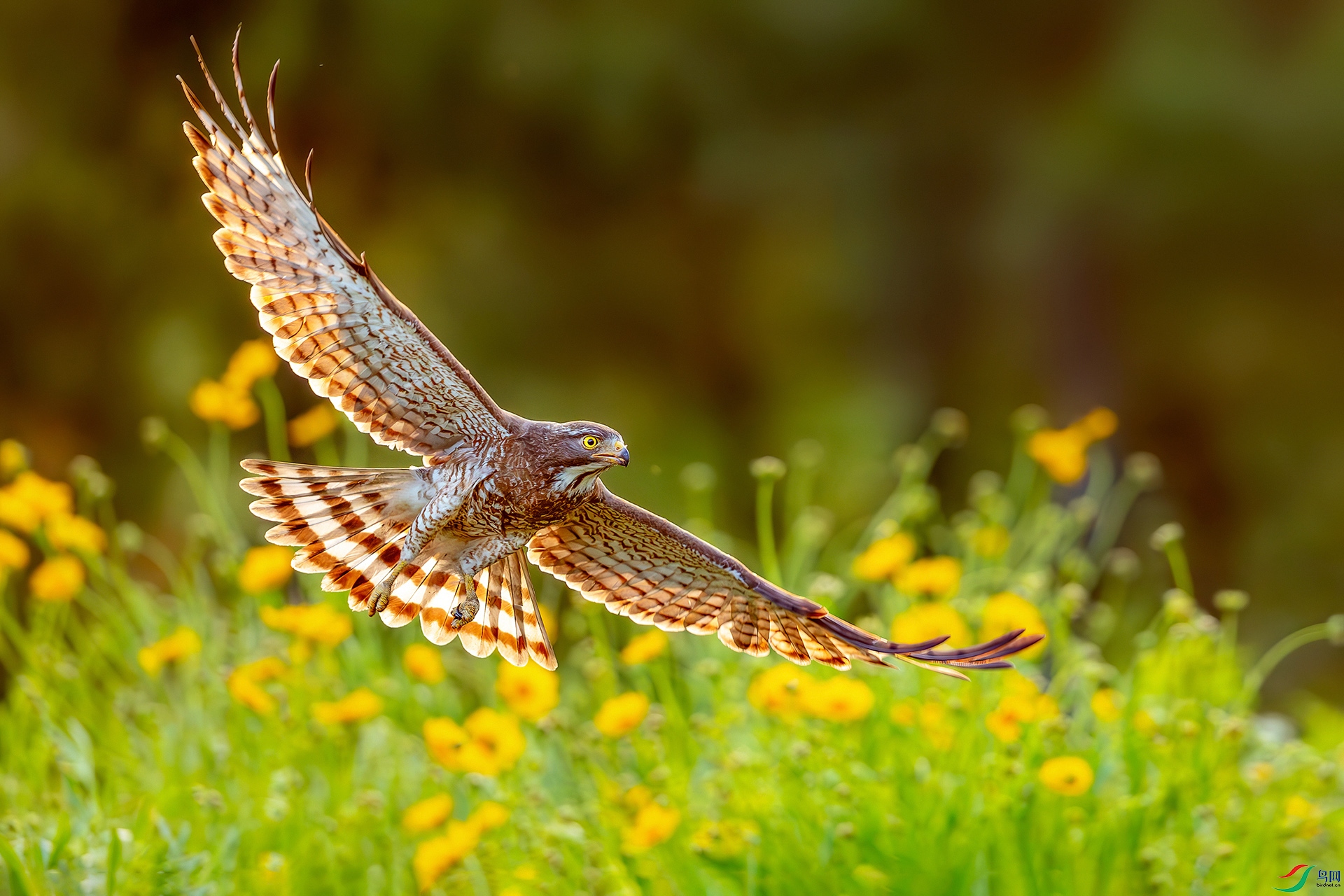 0D1A7768-8.jpg