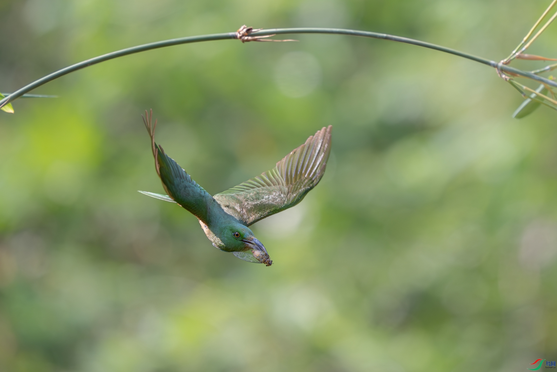 DSC_4235-1.jpg