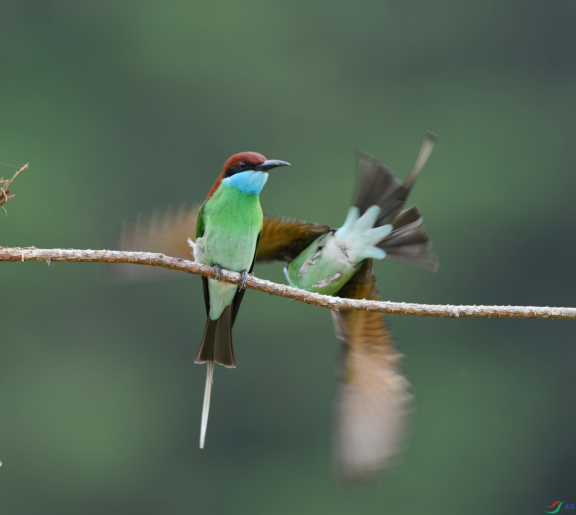 DSC_6777.jpg