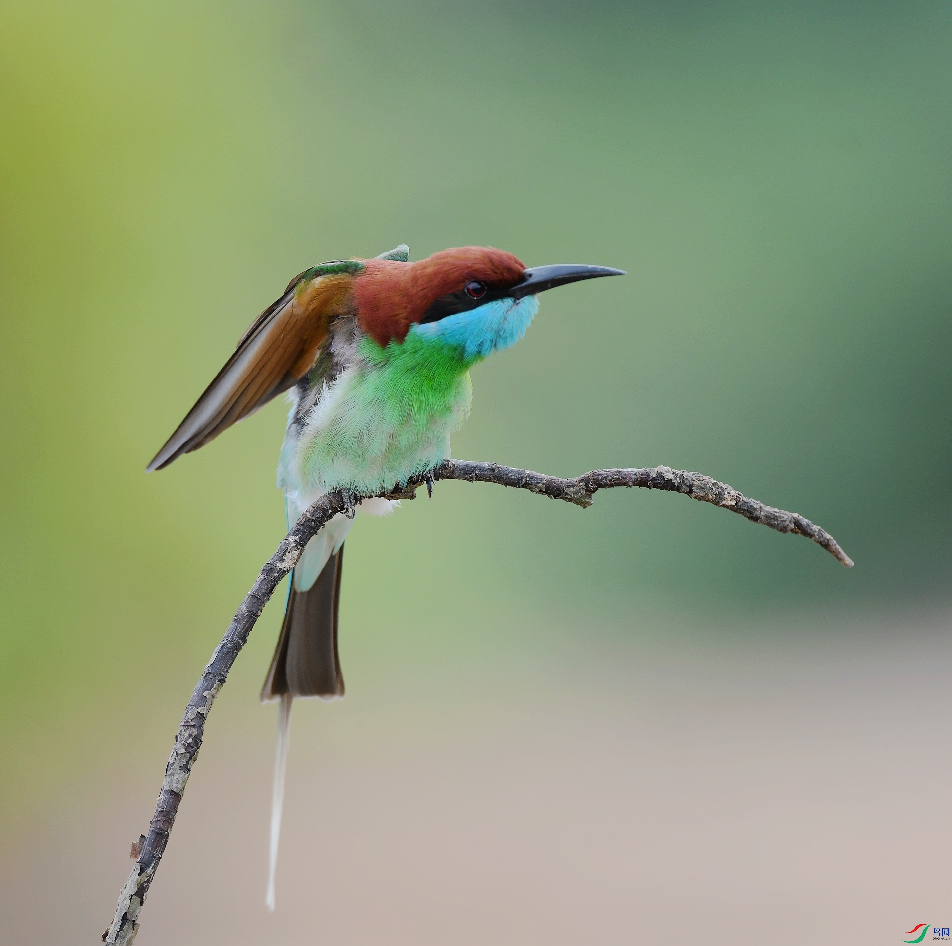 DSC_6691.jpg