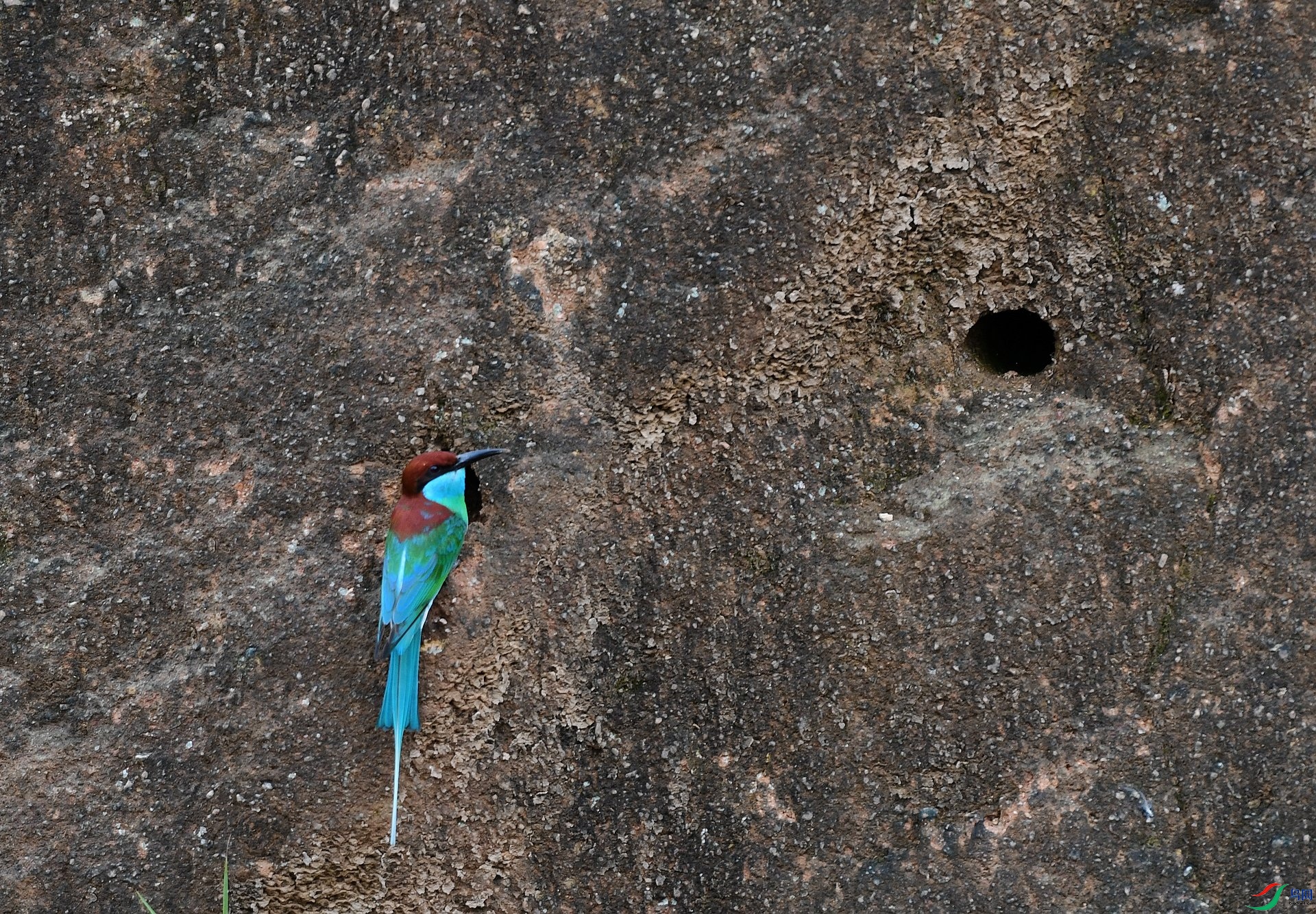 DSC_8655.jpg