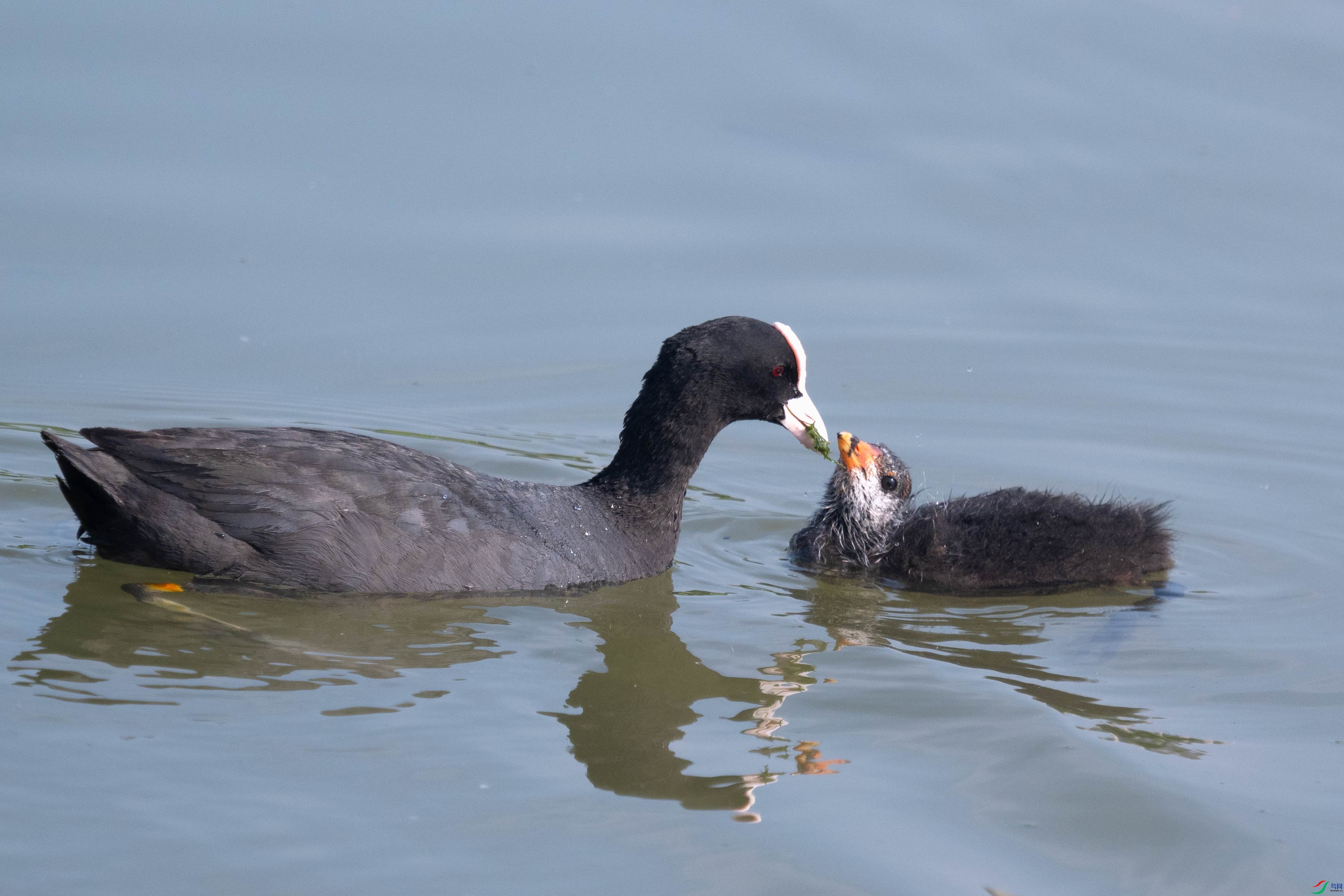 DSC_5253.jpg