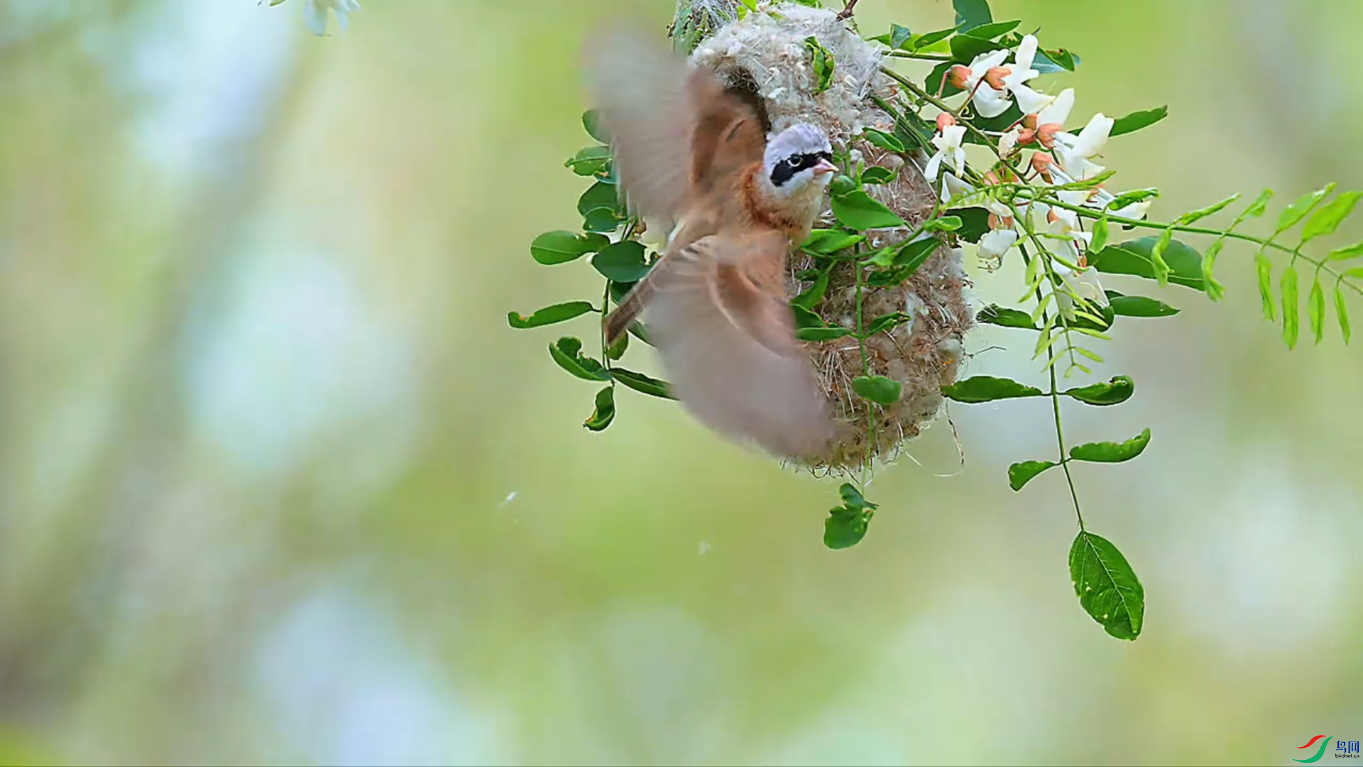5��22�� (14).png