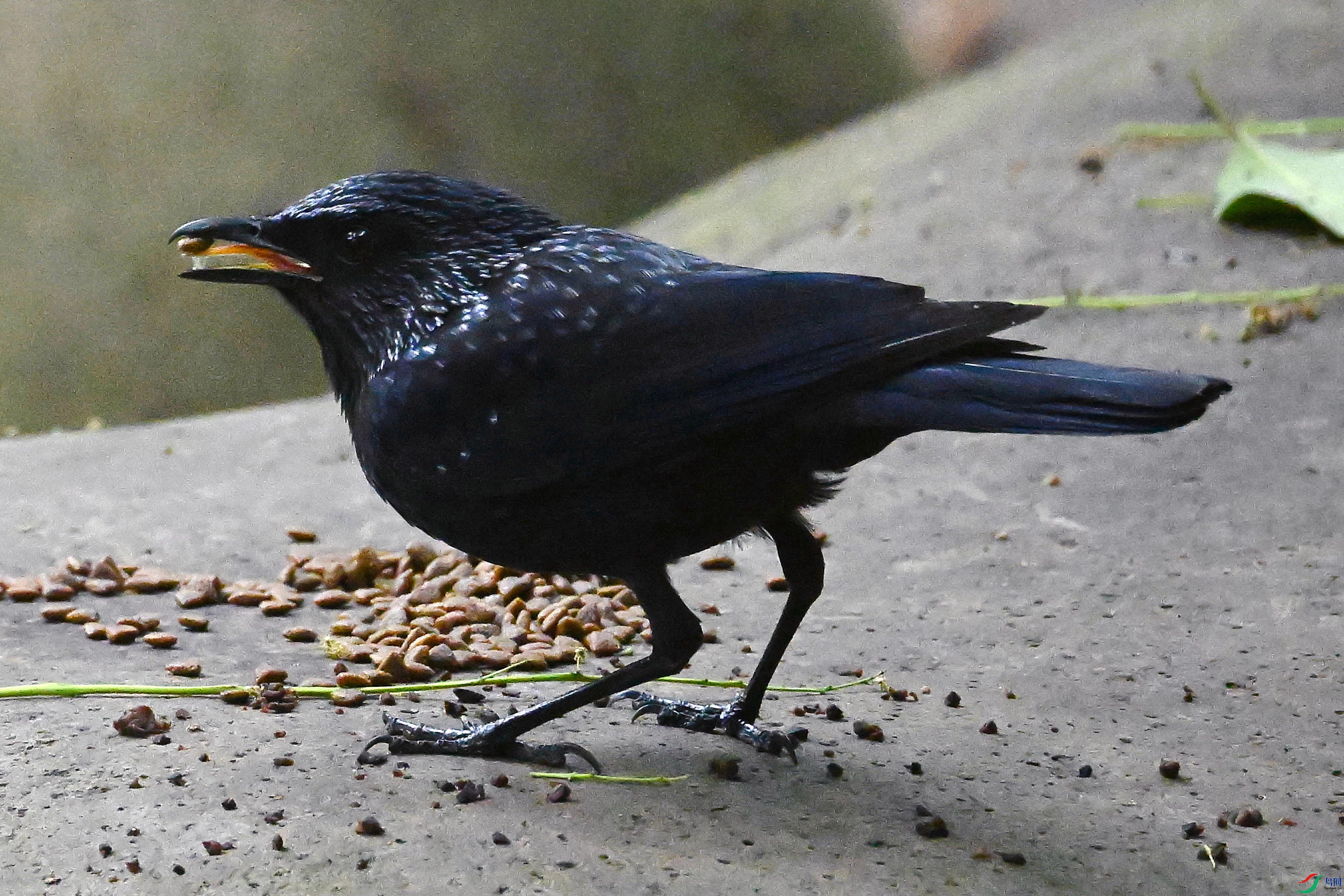 ΢��ͼƬ_20260522143820_326_40_����.jpg