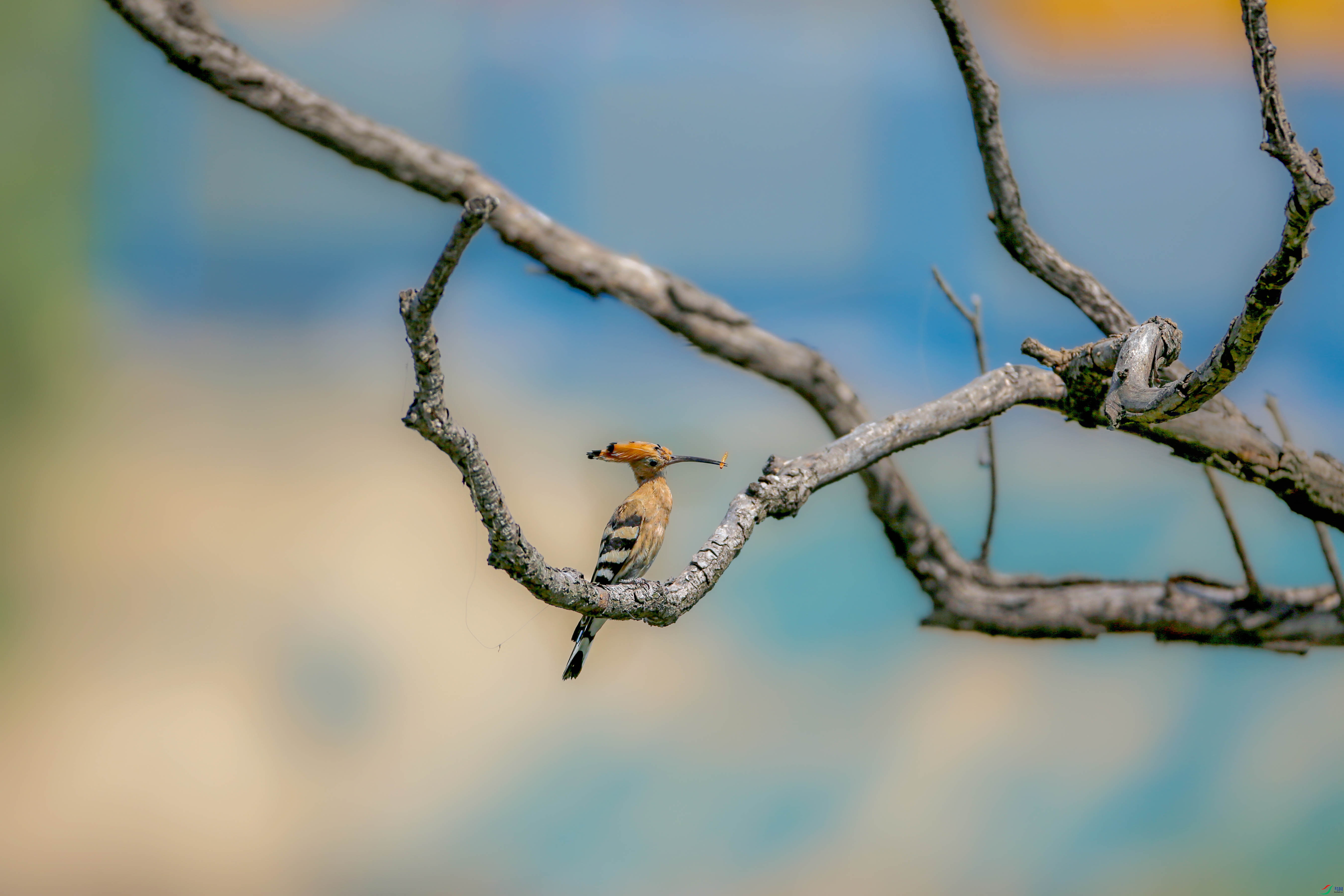 673A8094.JPG