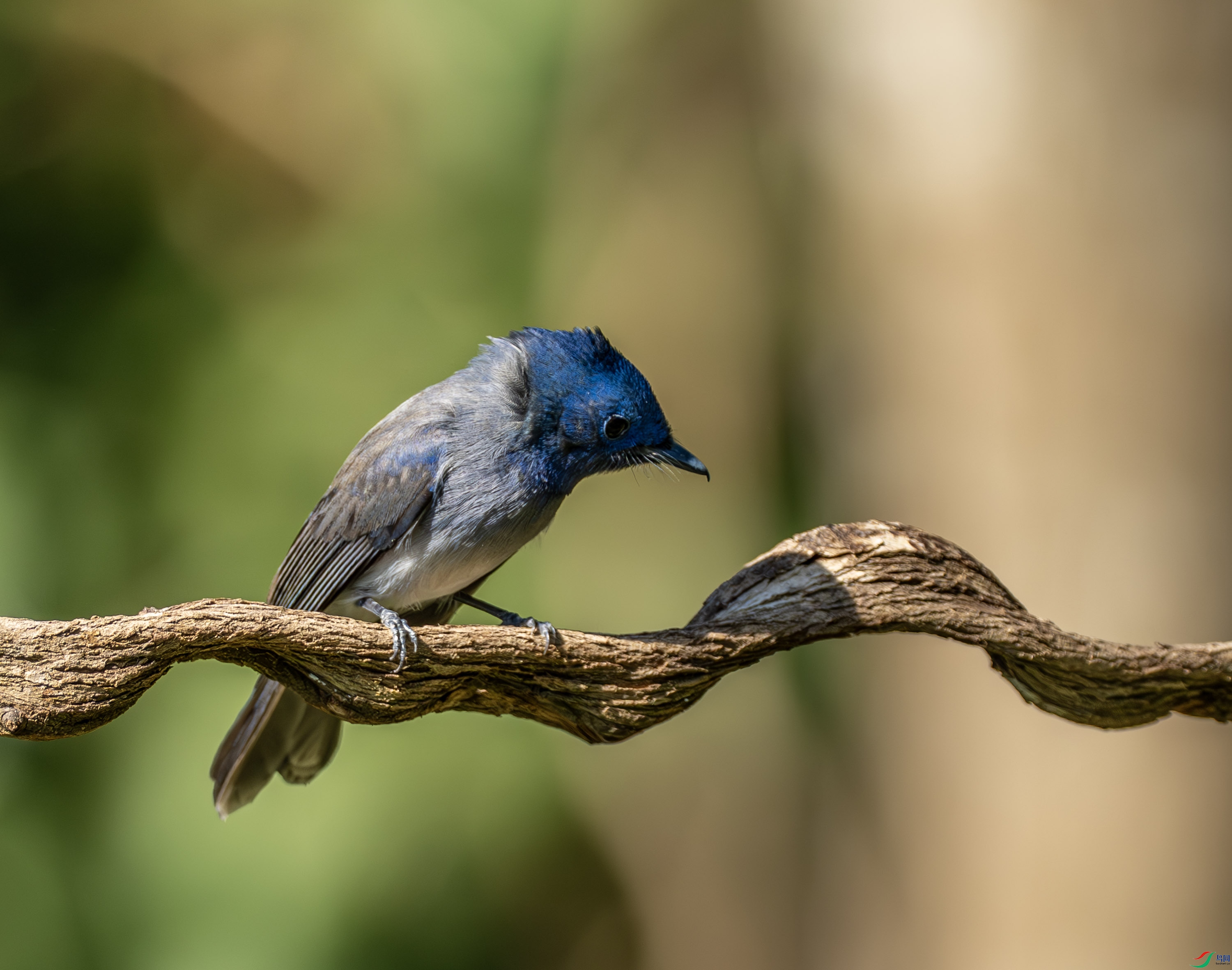 �������l-02-5.jpg