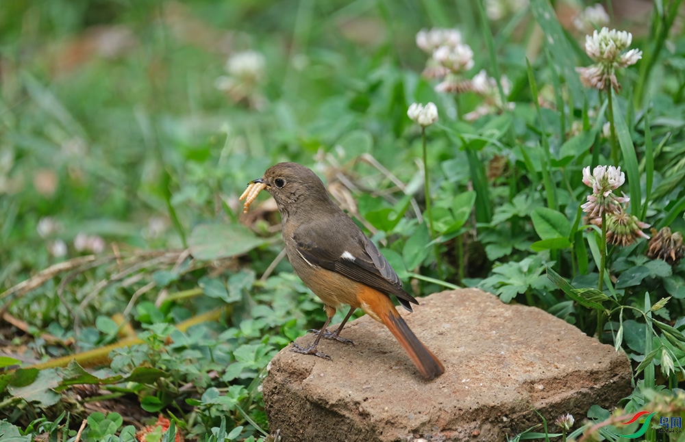 DSCF3624.1.jpg