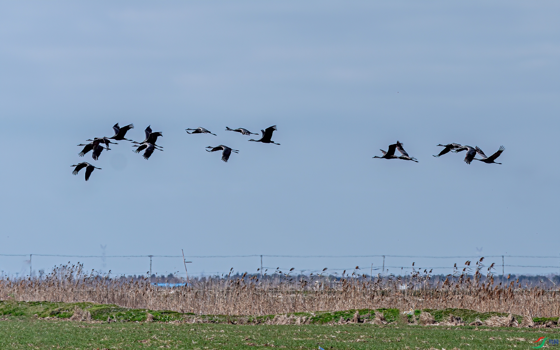 DSC_2532-11.jpg